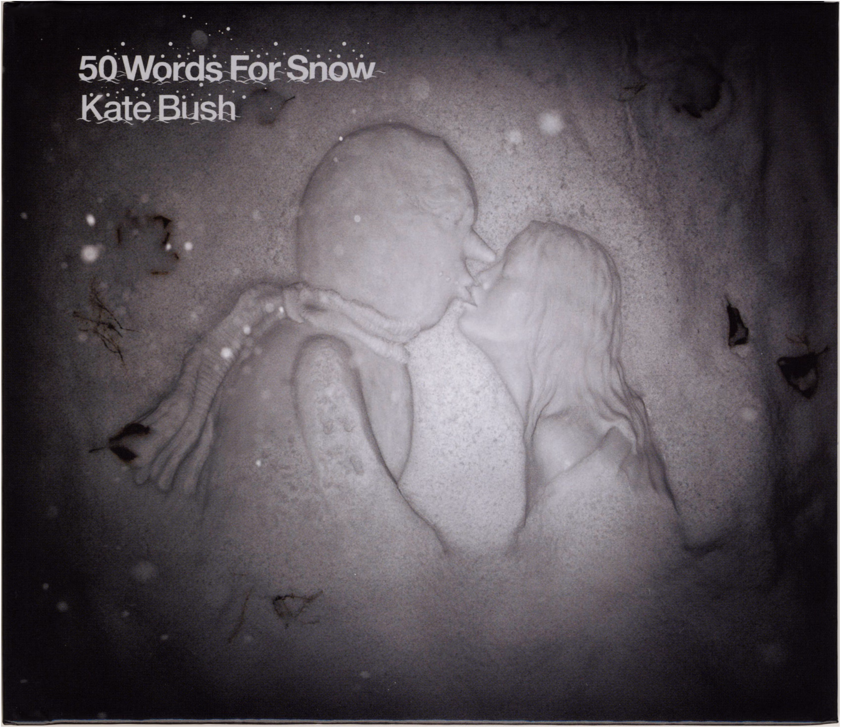 50 Words For Snow