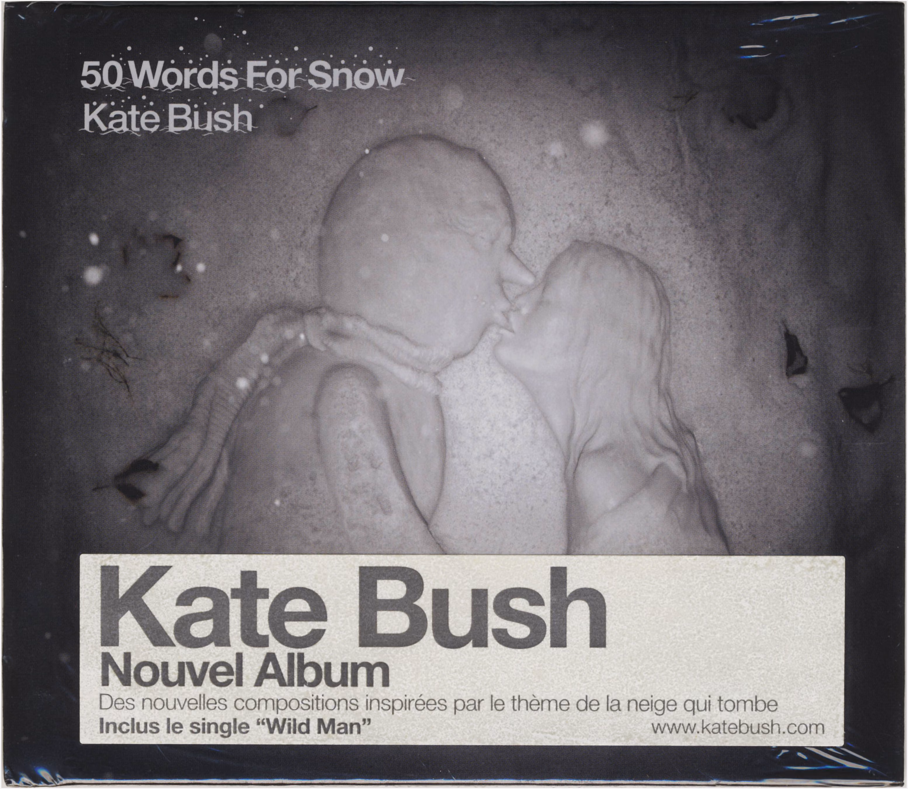 50 Words For Snow