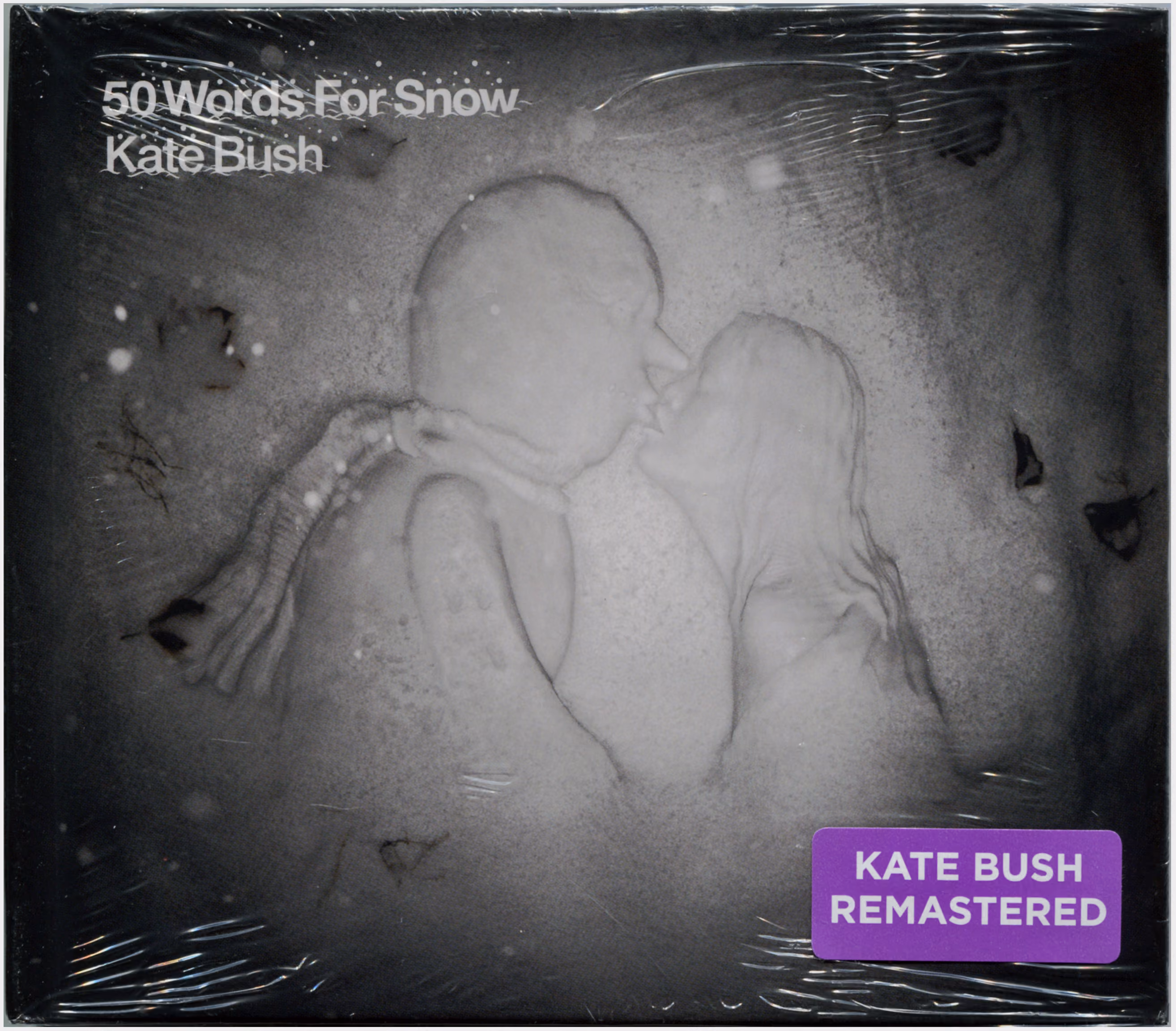 50 Words For Snow