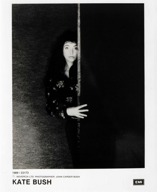 'The Sensual World' Photograph