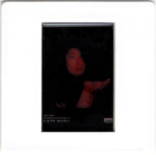 'The Sensual World' Photo Slide
