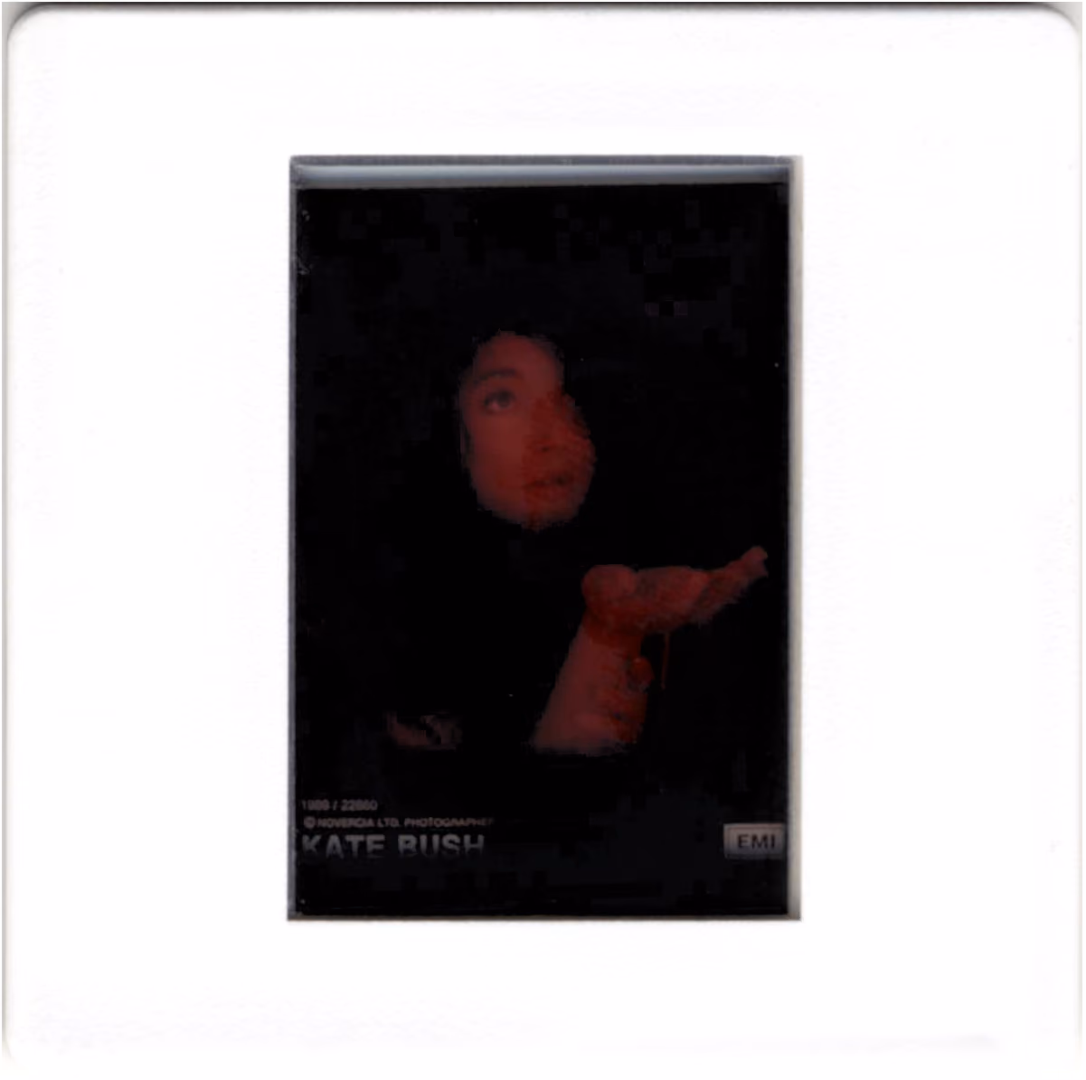 'The Sensual World' Photo Slide