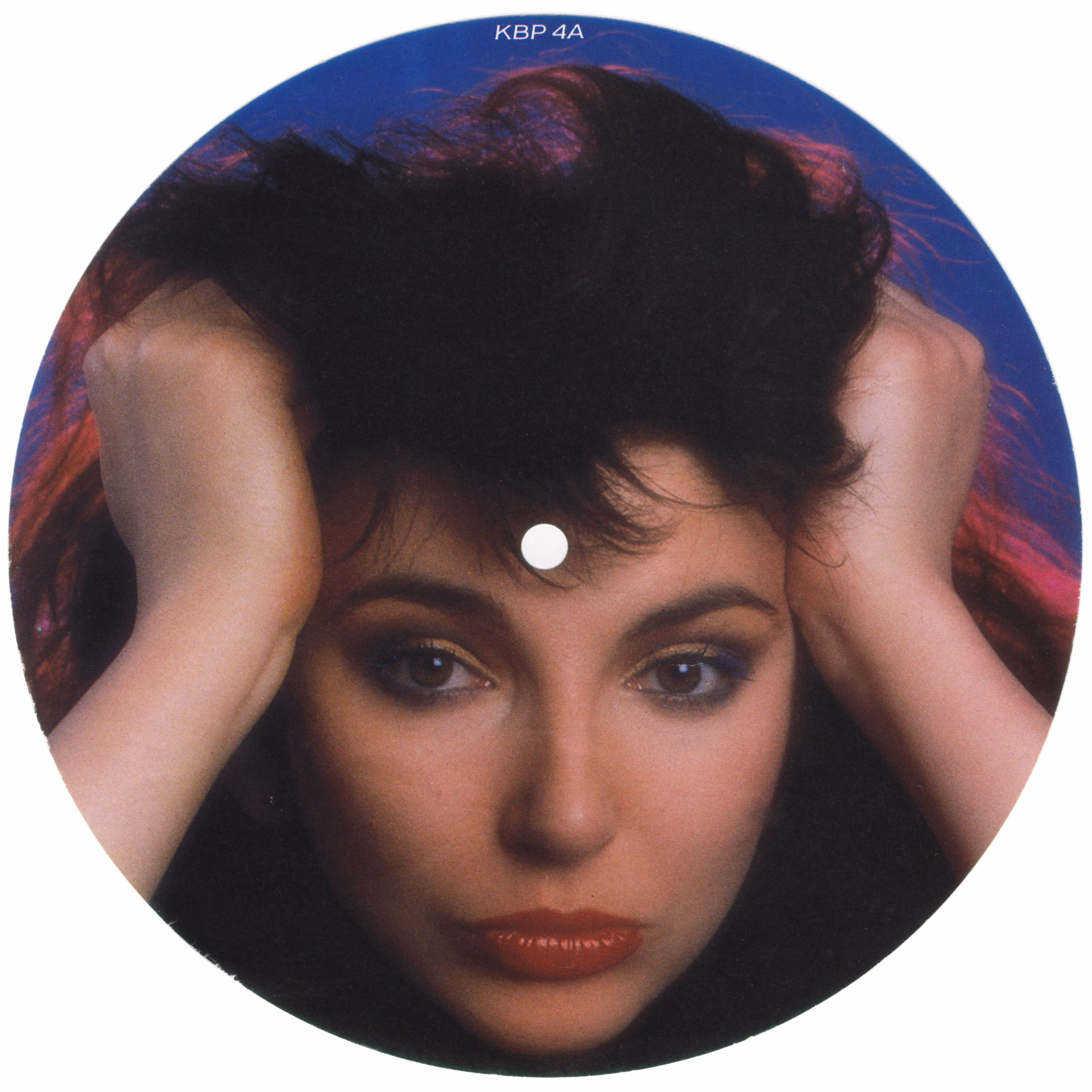 'The Big Sky' 7" Picture Disc Manufacturing Inserts