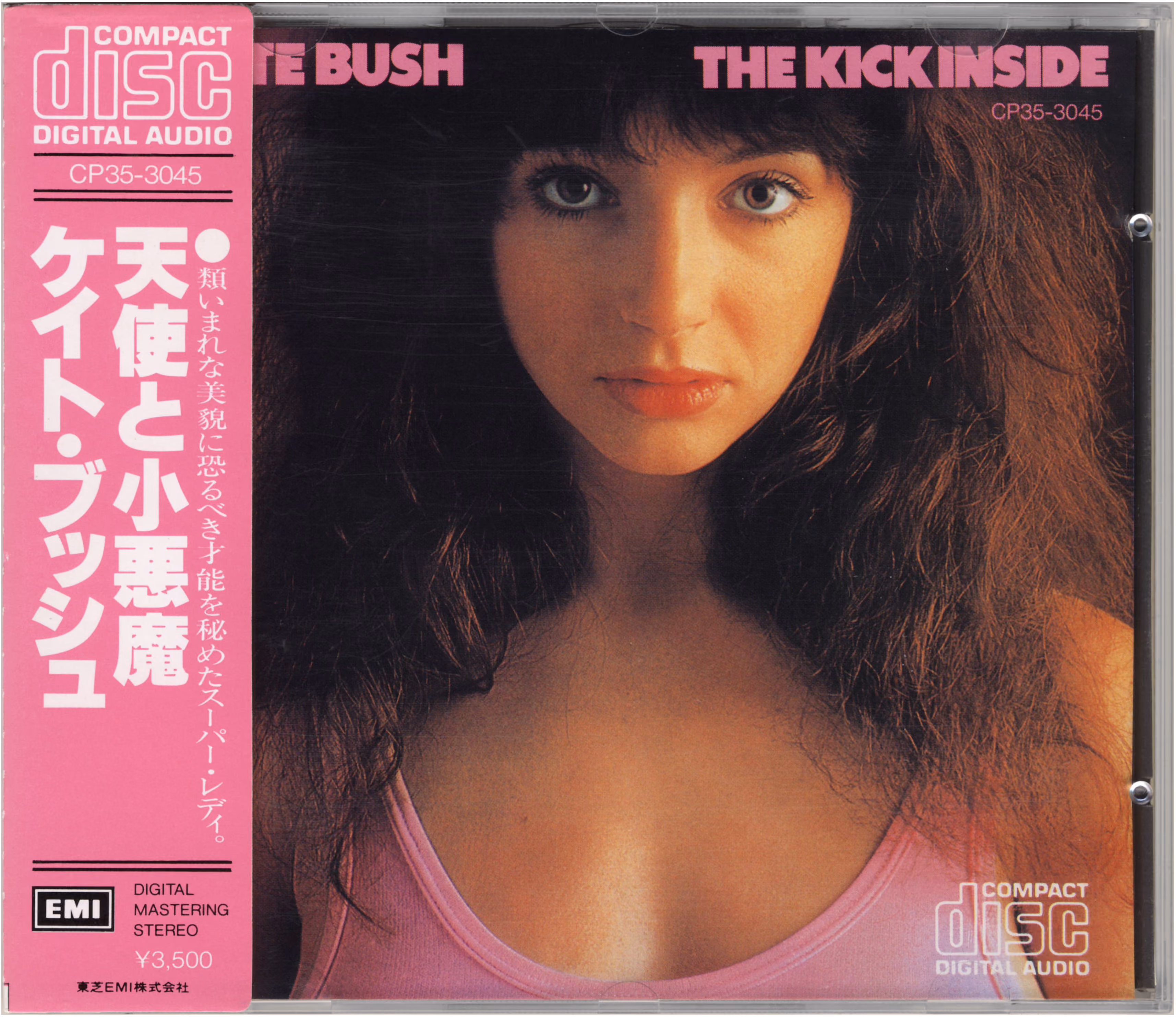 The Kick Inside
