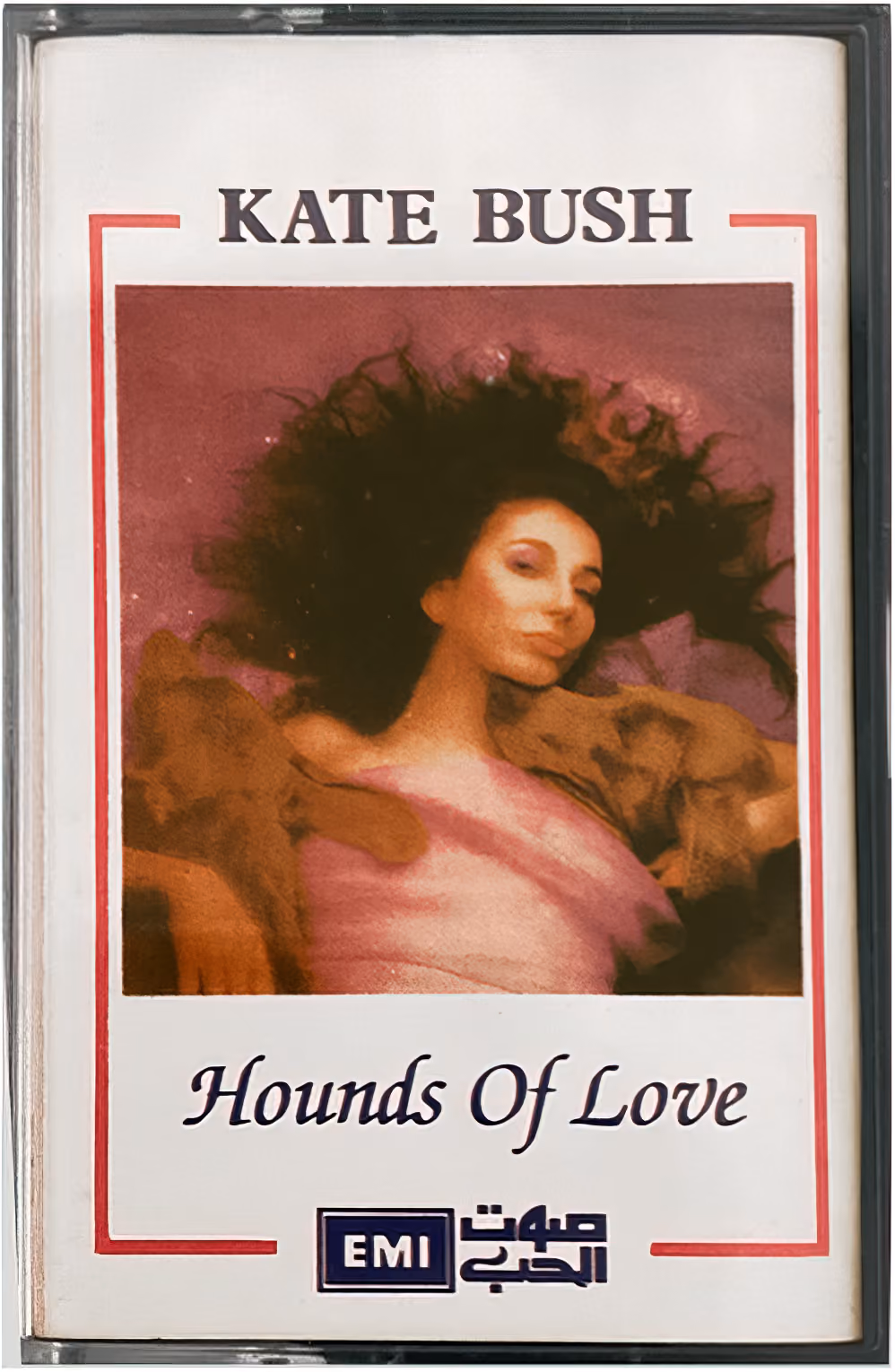 Hounds Of Love