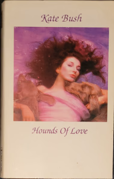 Hounds Of Love