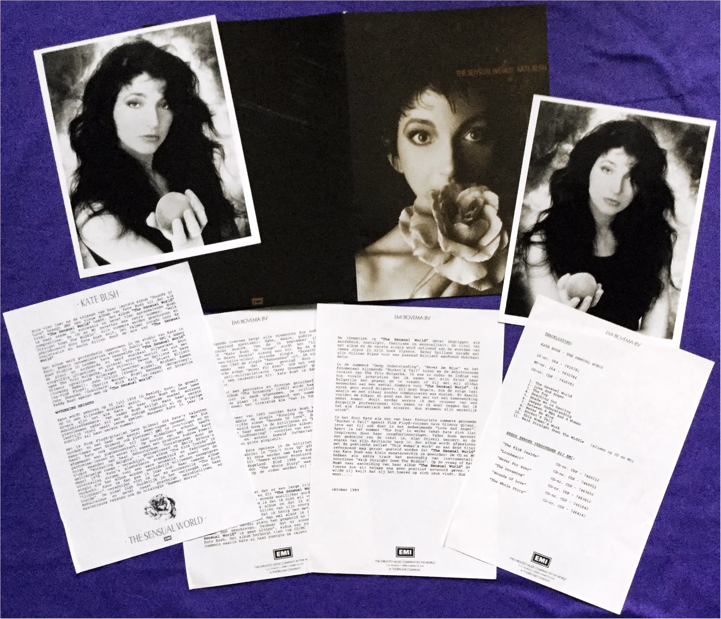 'The Sensual World' Album Press Kit