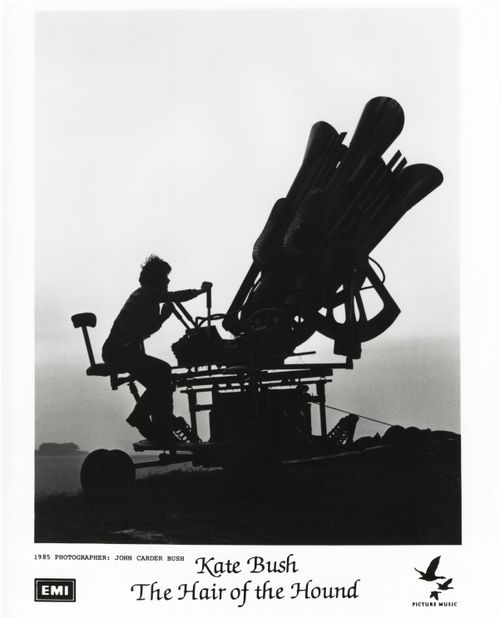 'The Hair Of The Hound' Photograph