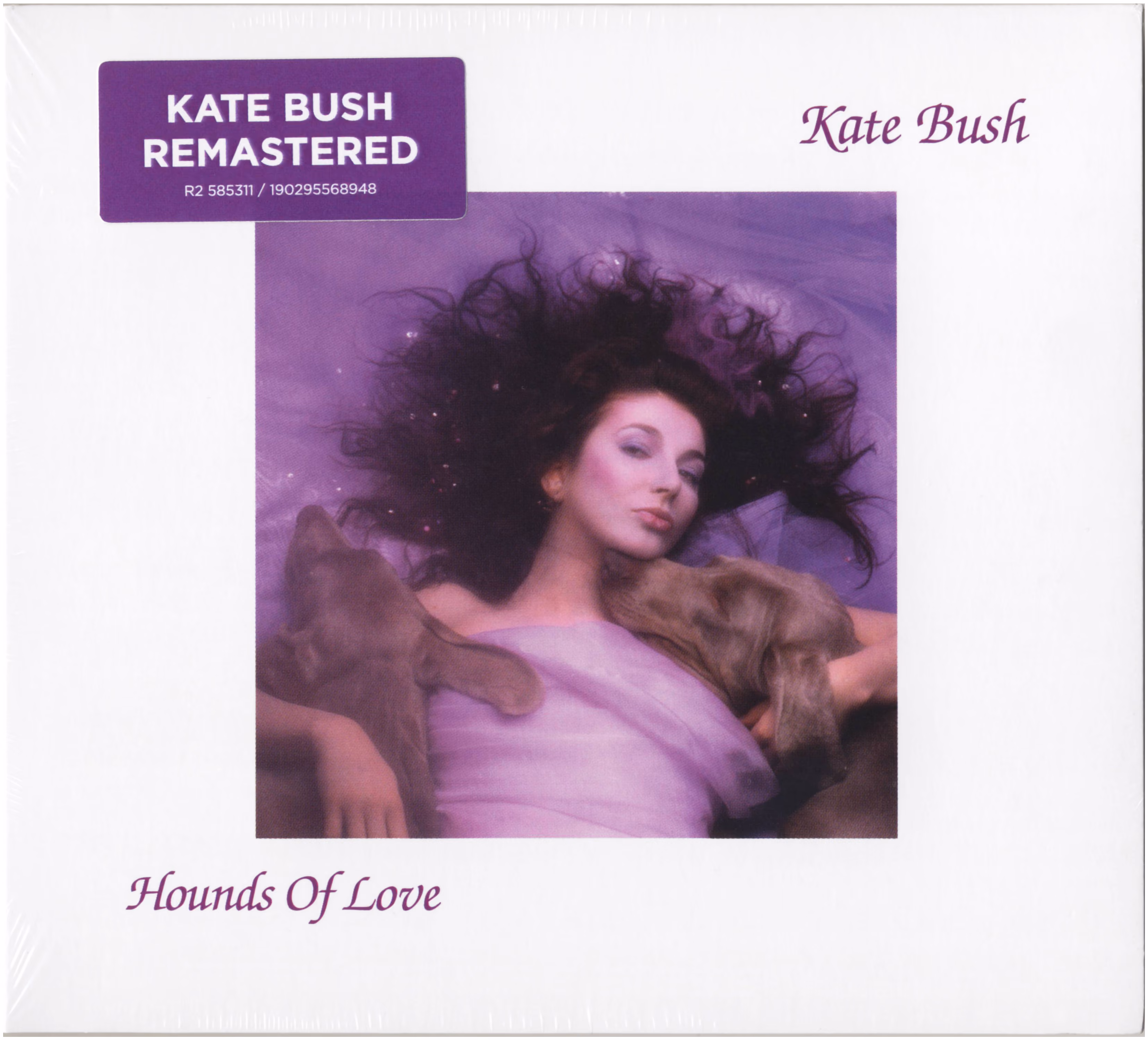 Hounds Of Love