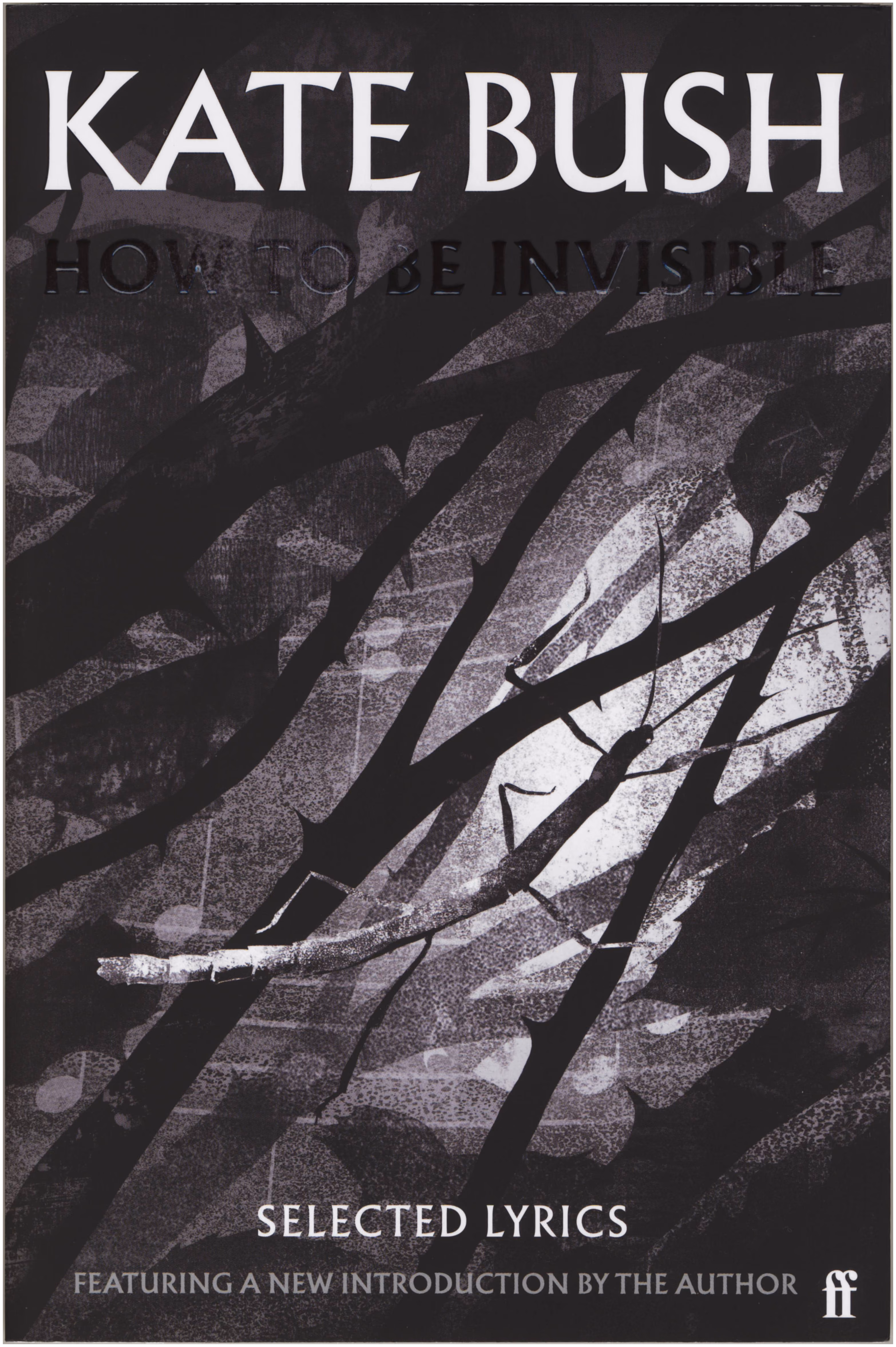 'How To Be Invisible' Book