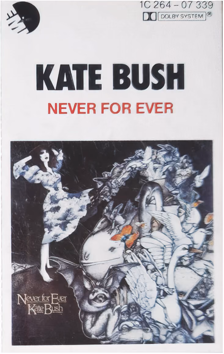 Never For Ever