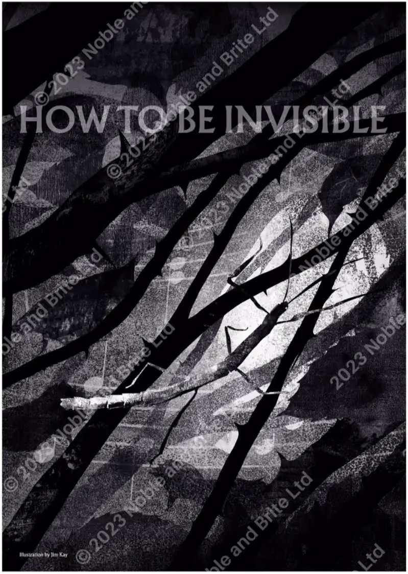 'How To Be Invisible' Poster