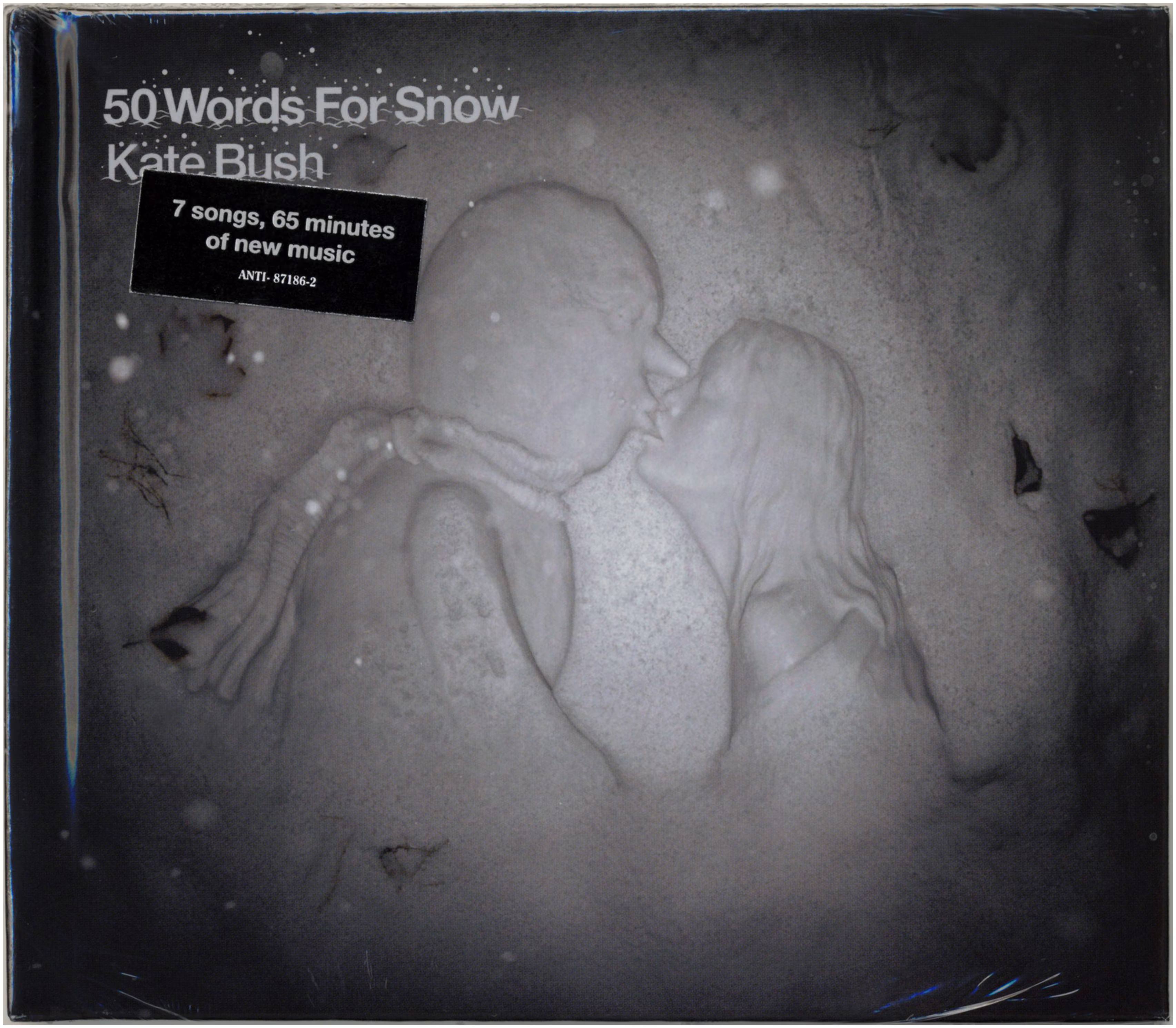 50 Words For Snow