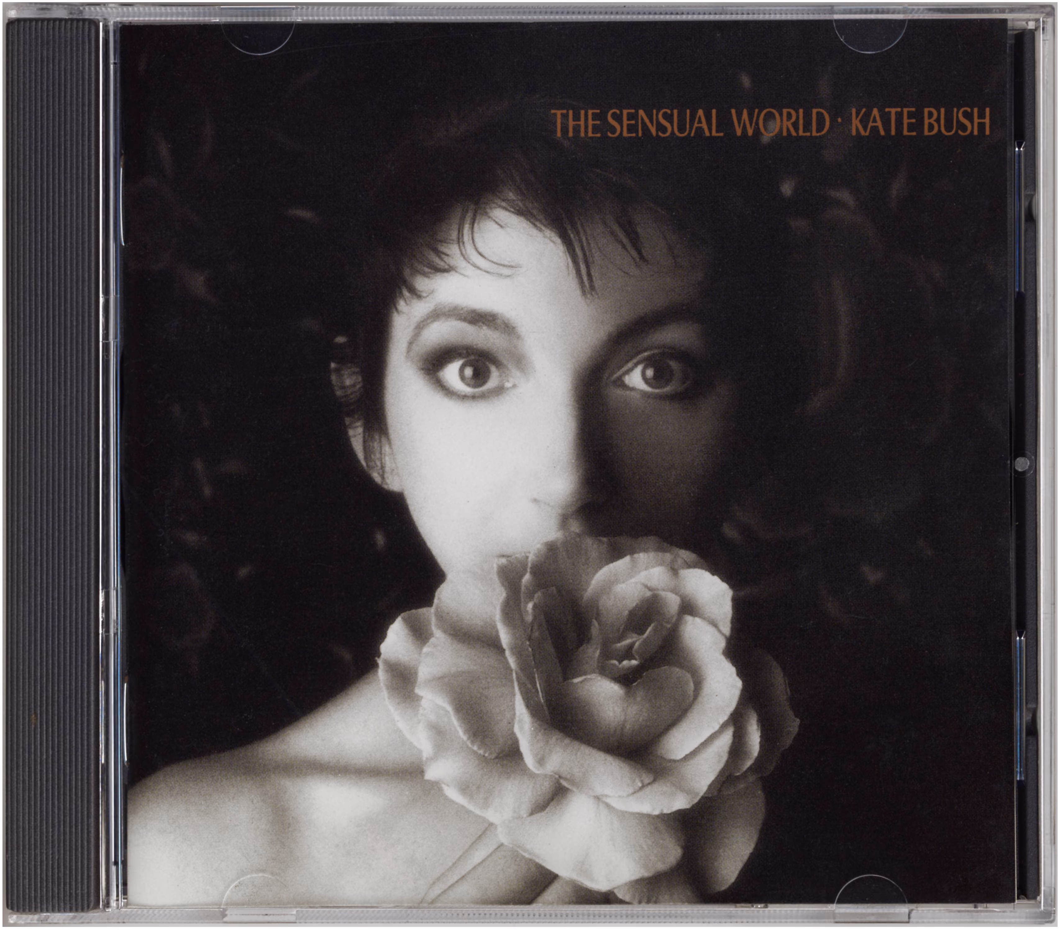 The Sensual World