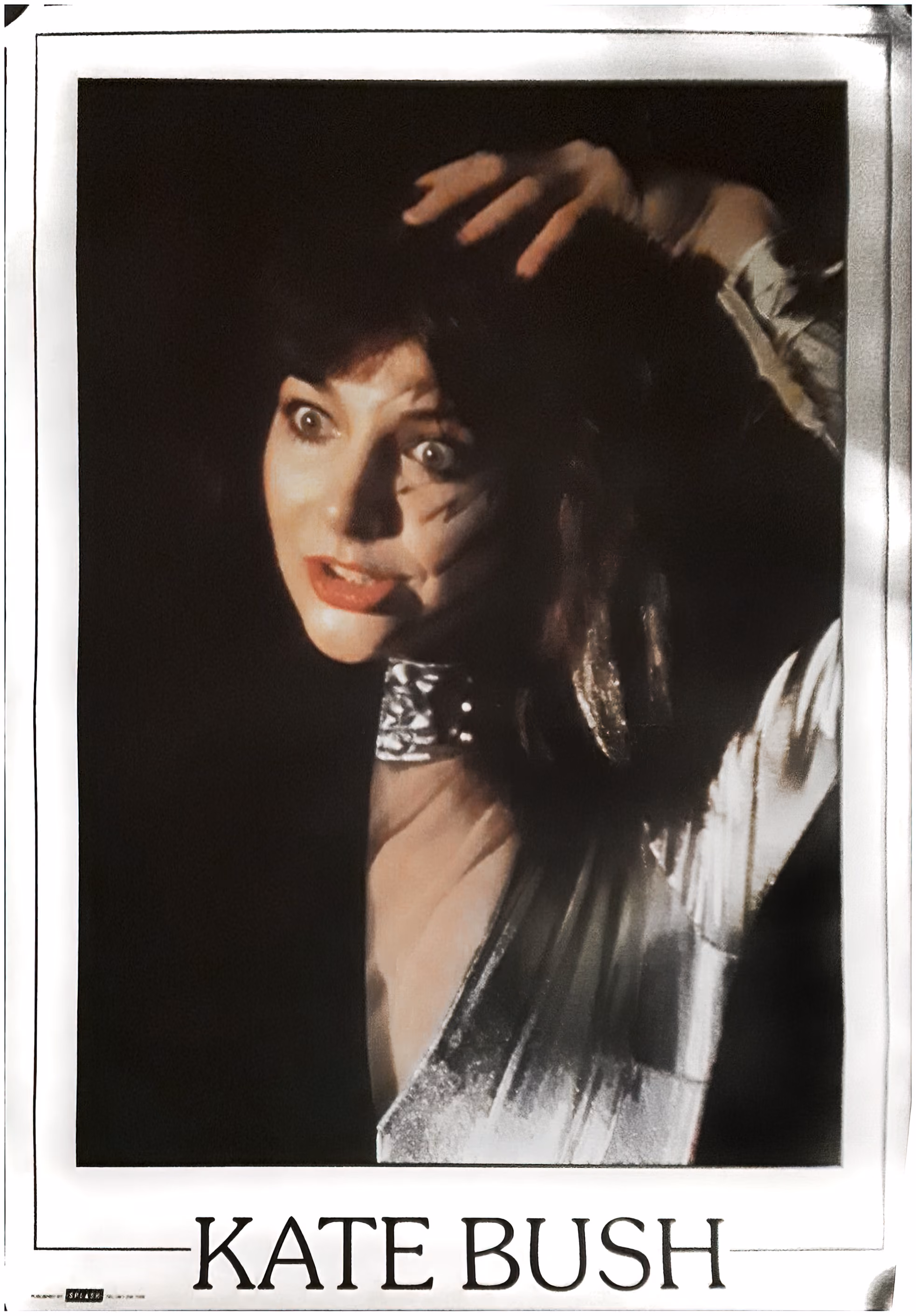 'Kate Bush' Poster