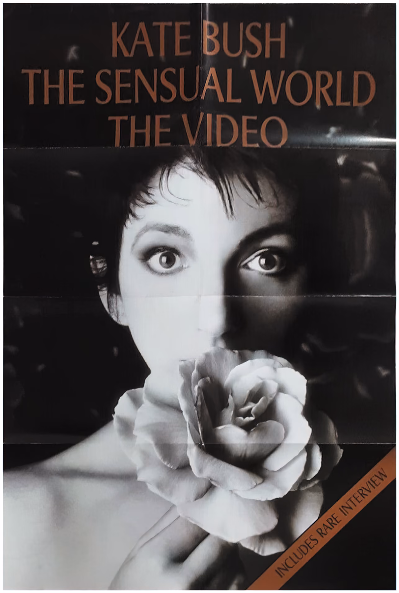 'The Sensual World - The Video' Poster