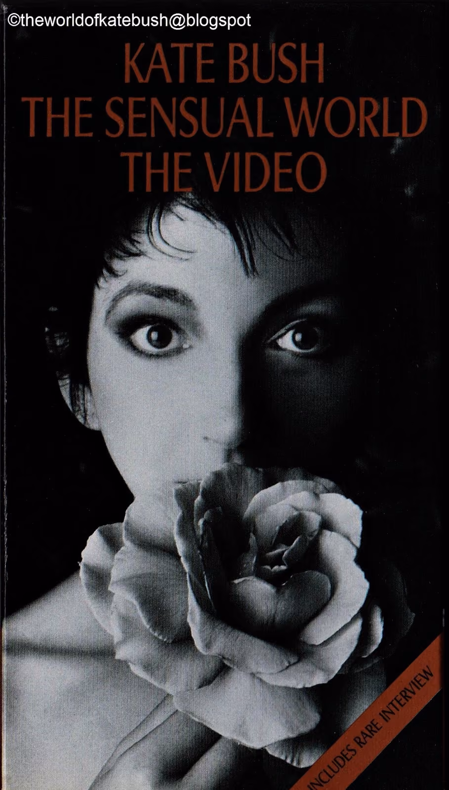 The Sensual World - The Video