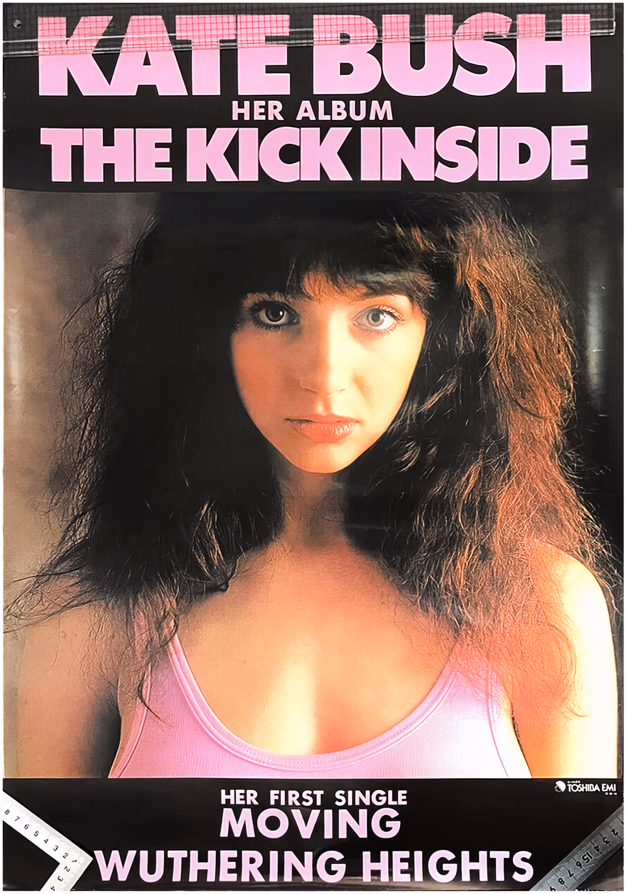 'The Kick Inside' Poster