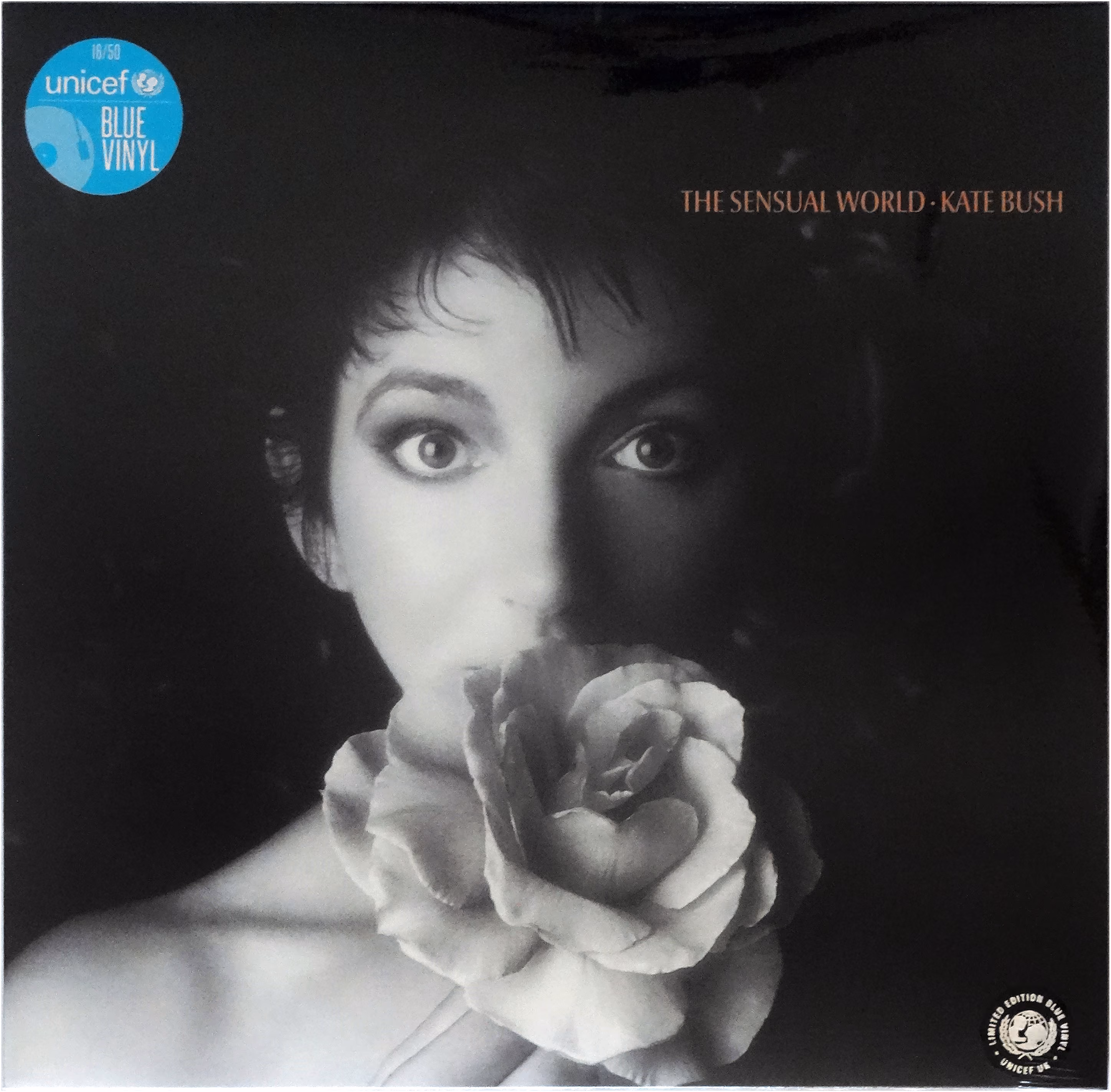 The Sensual World
