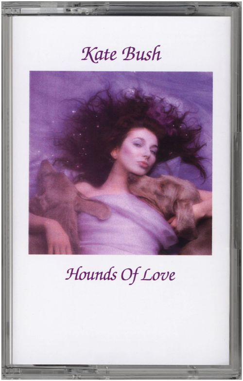Hounds Of Love