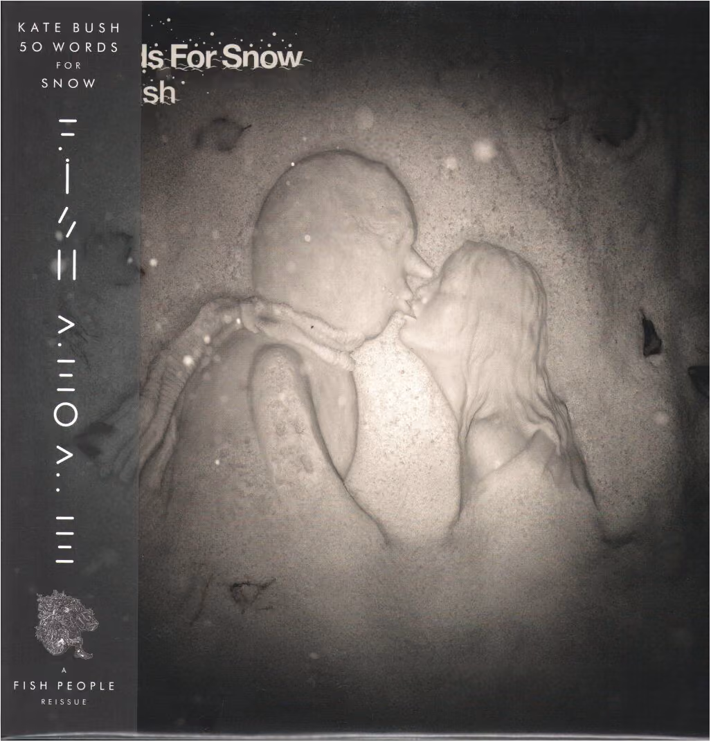 50 Words For Snow