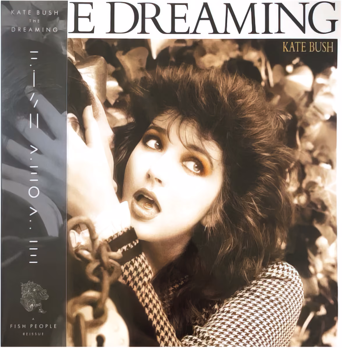 The Dreaming