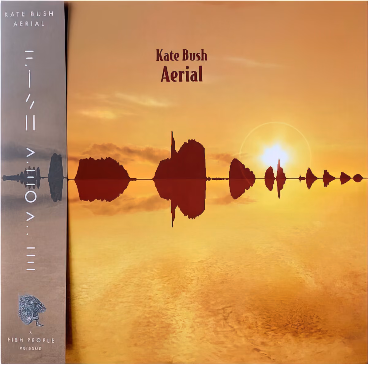 Aerial