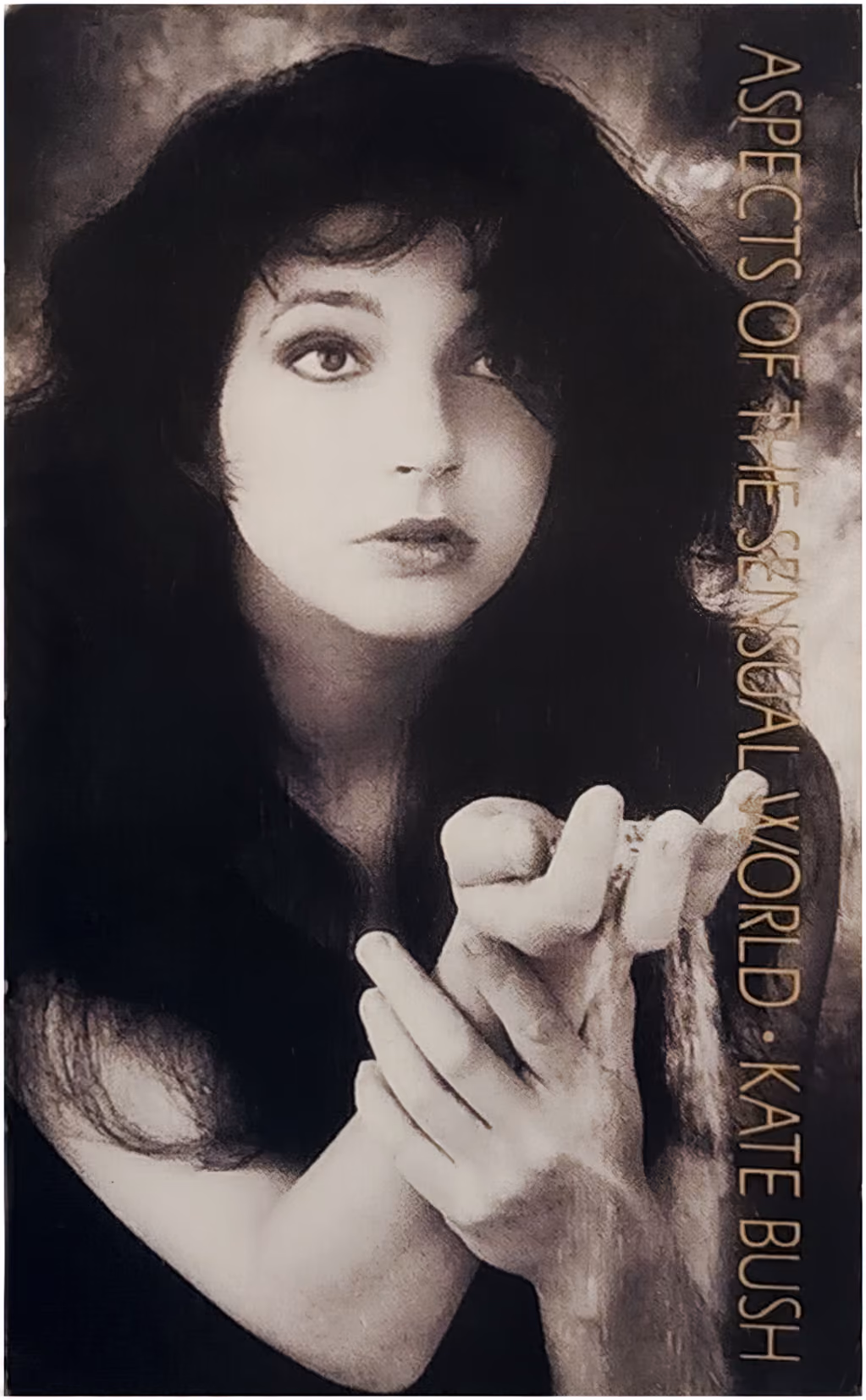 'Aspects Of The Sensual World' Postcard