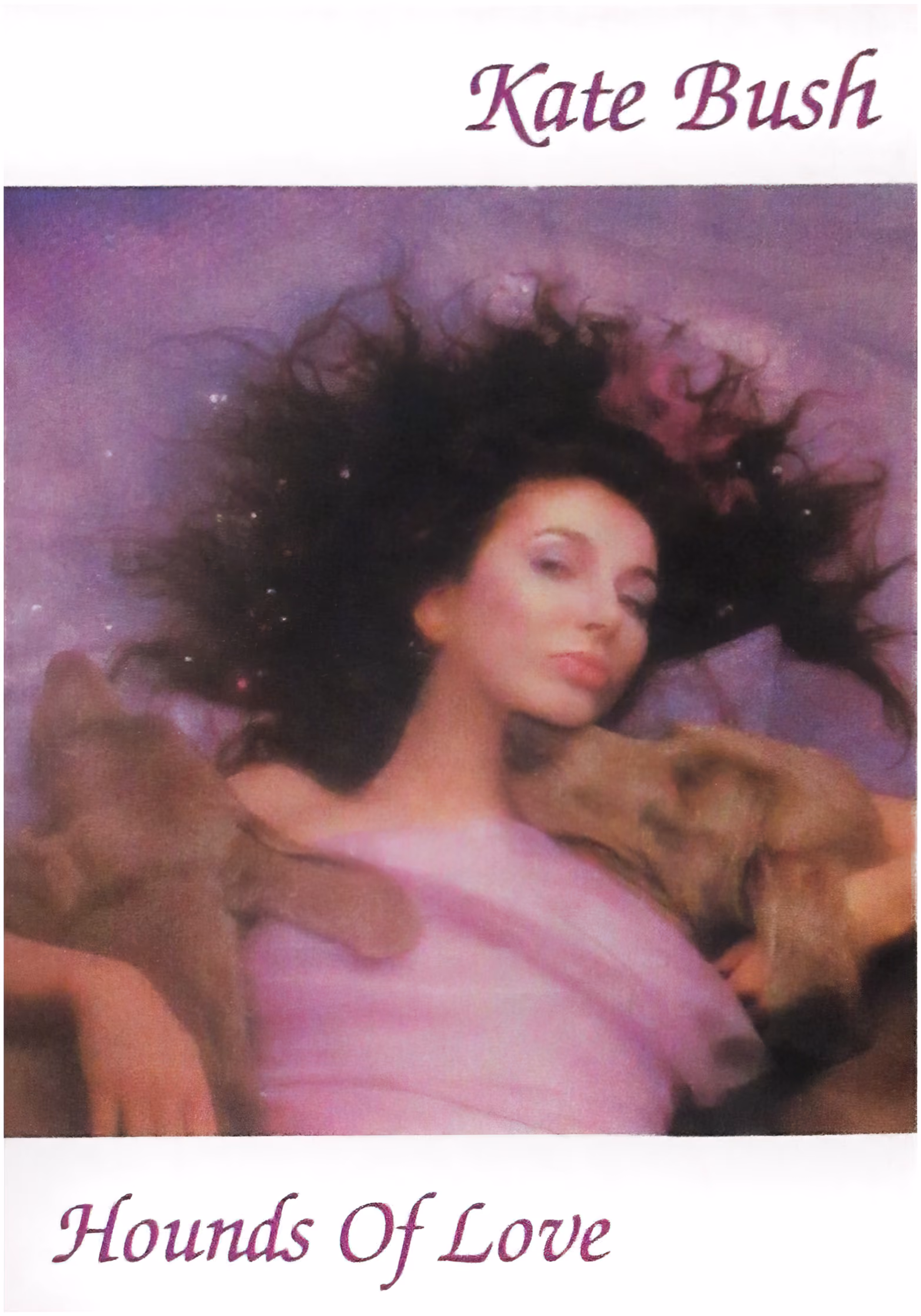 'Hounds Of Love' Album Postcard