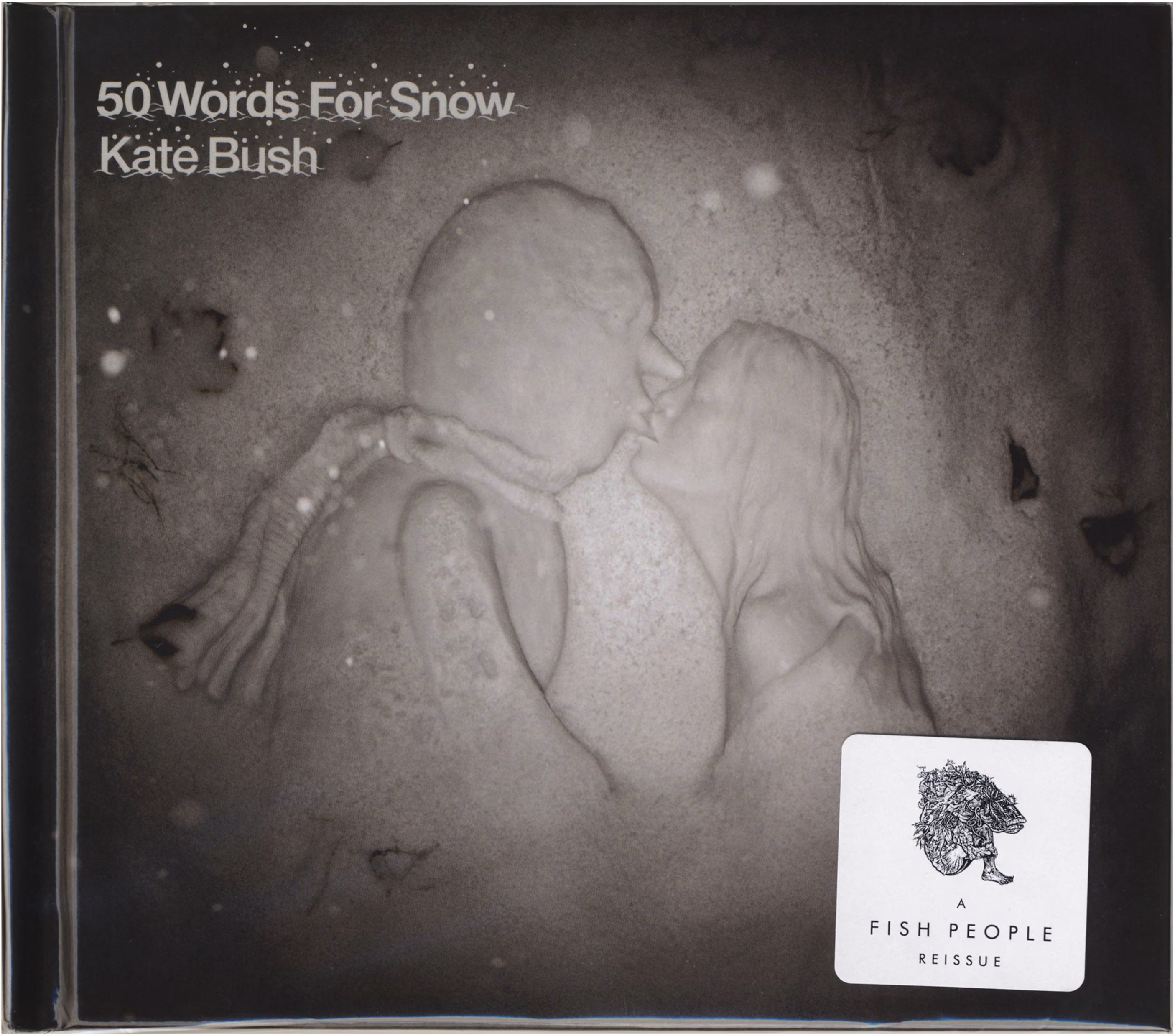 50 Words For Snow