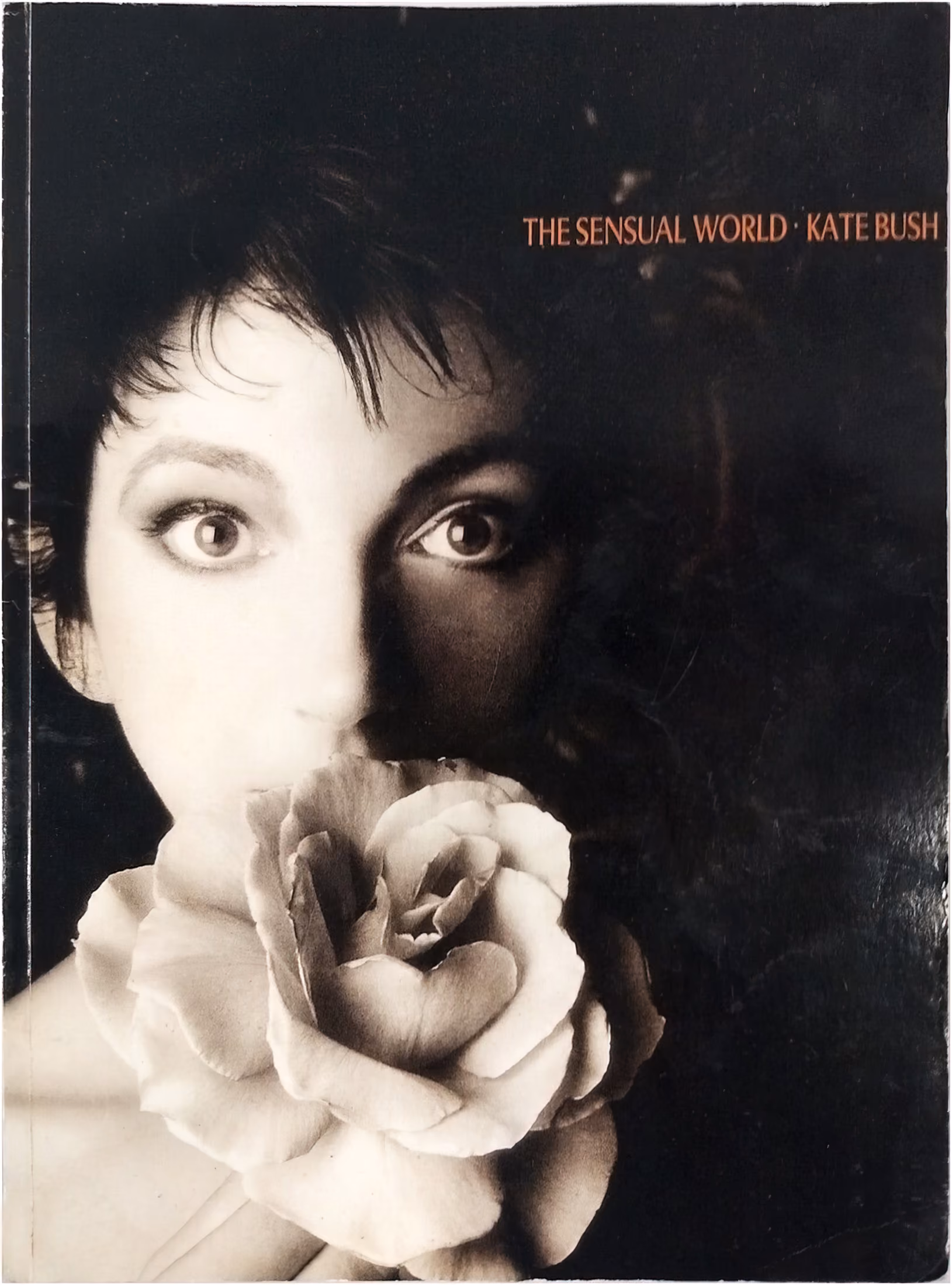 'The Sensual World' Album Sheet Music Book