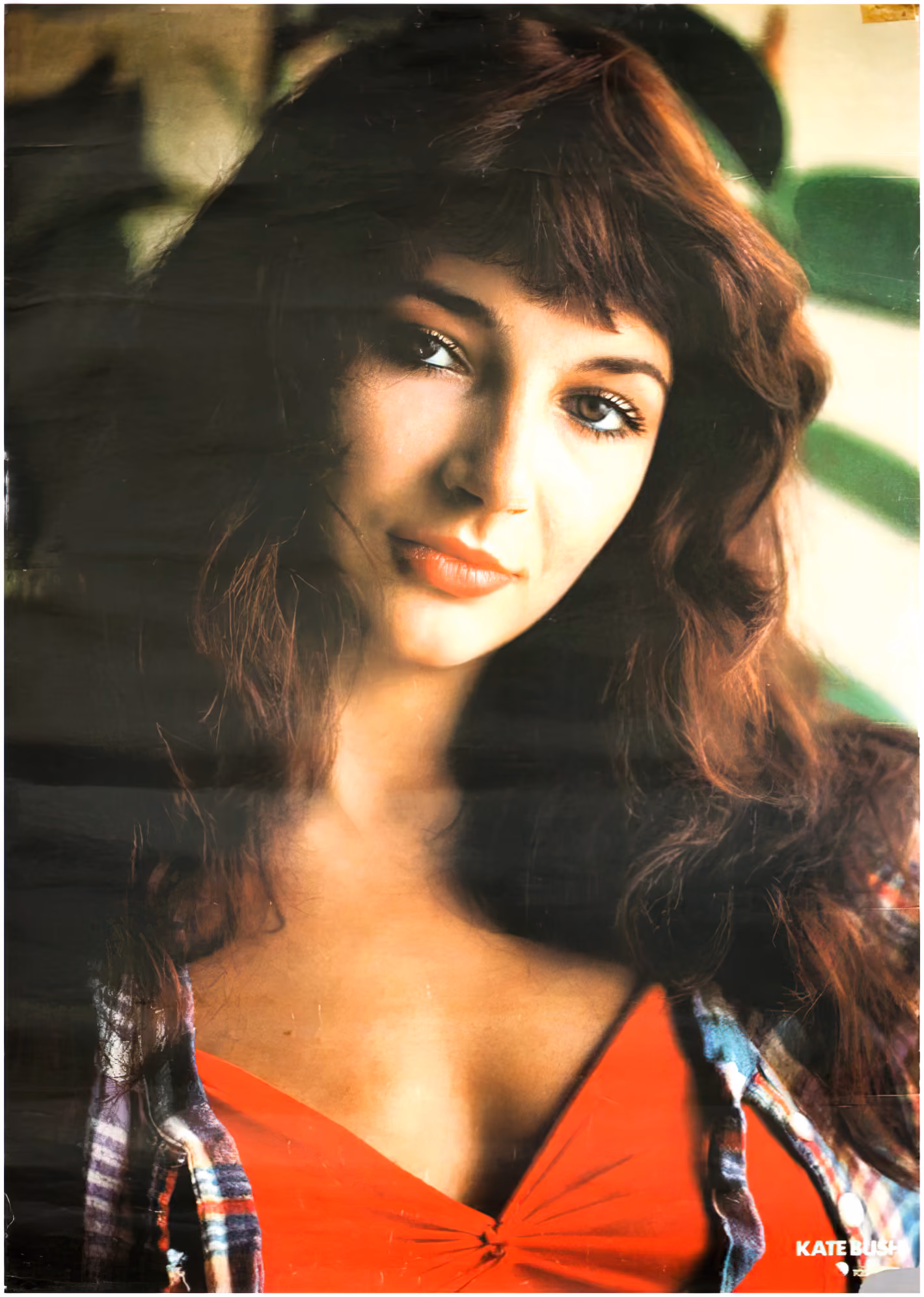 'Kate Bush' Poster