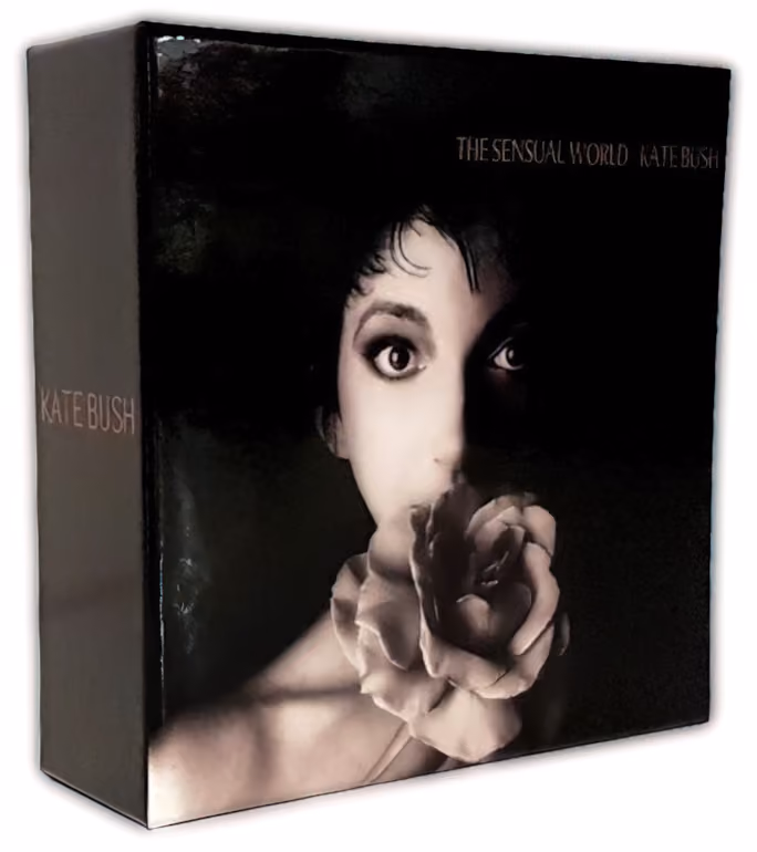'The Sensual World' CD Box