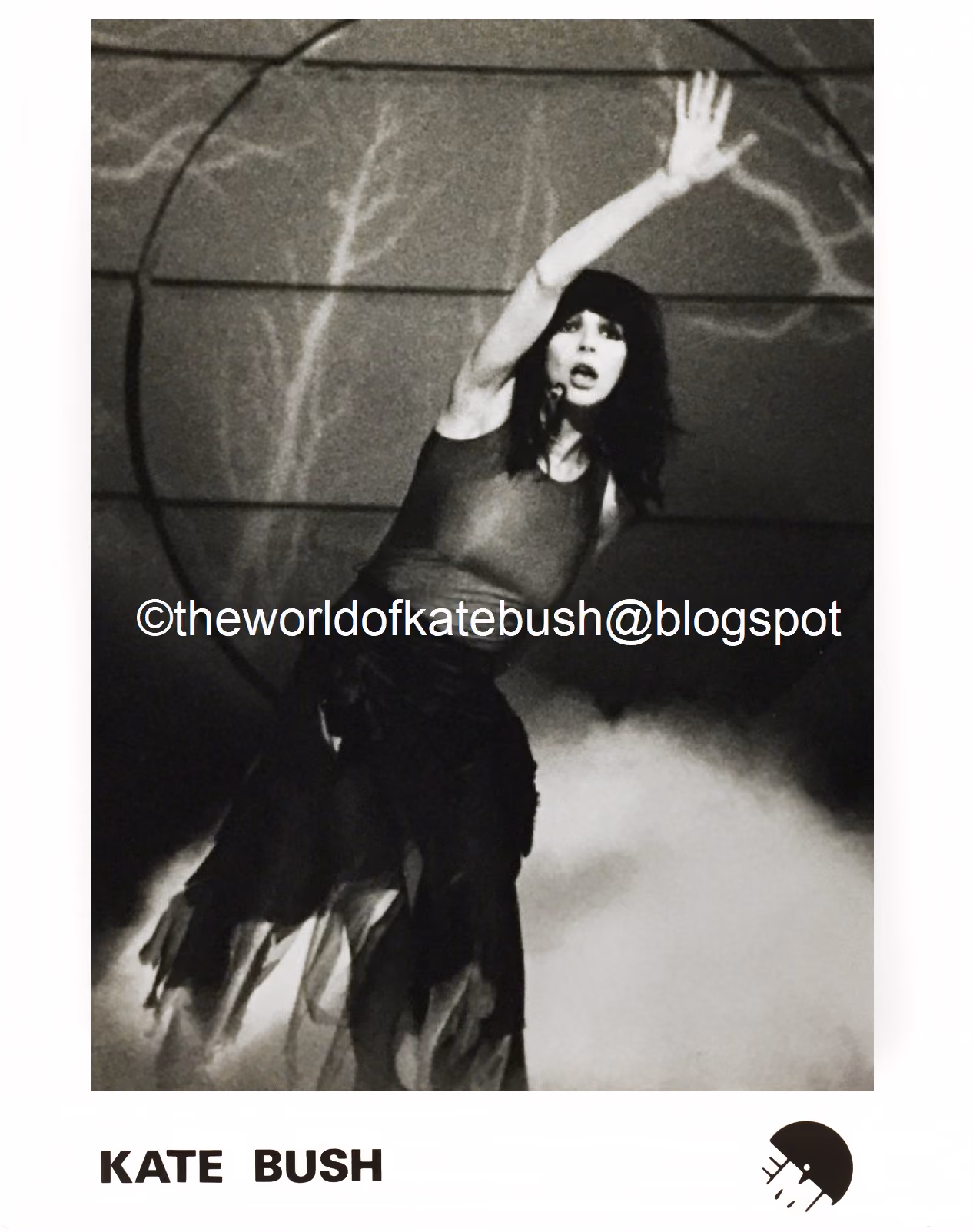 'The Tour Of Life' Photograph