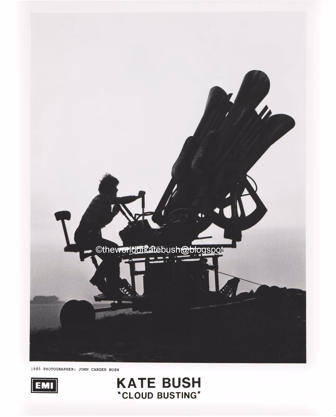 'Hounds Of Love' Photograph