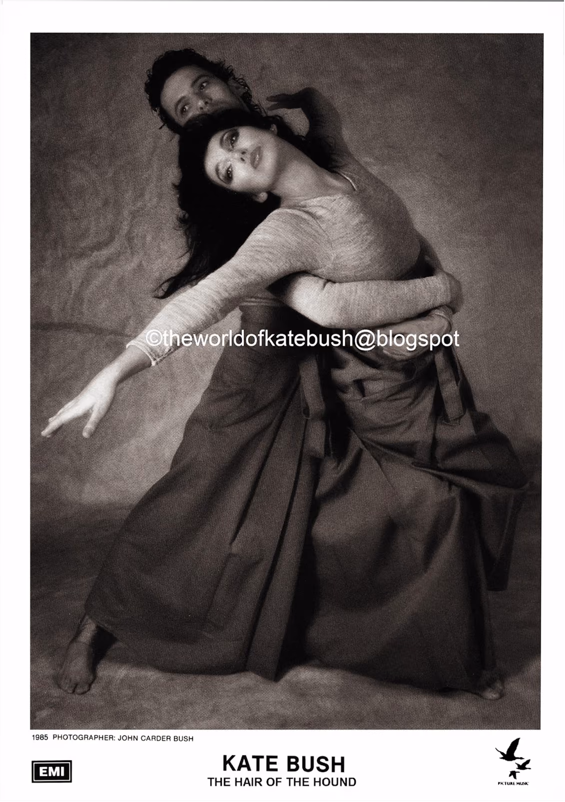 'The Hair Of The Hound' Photograph