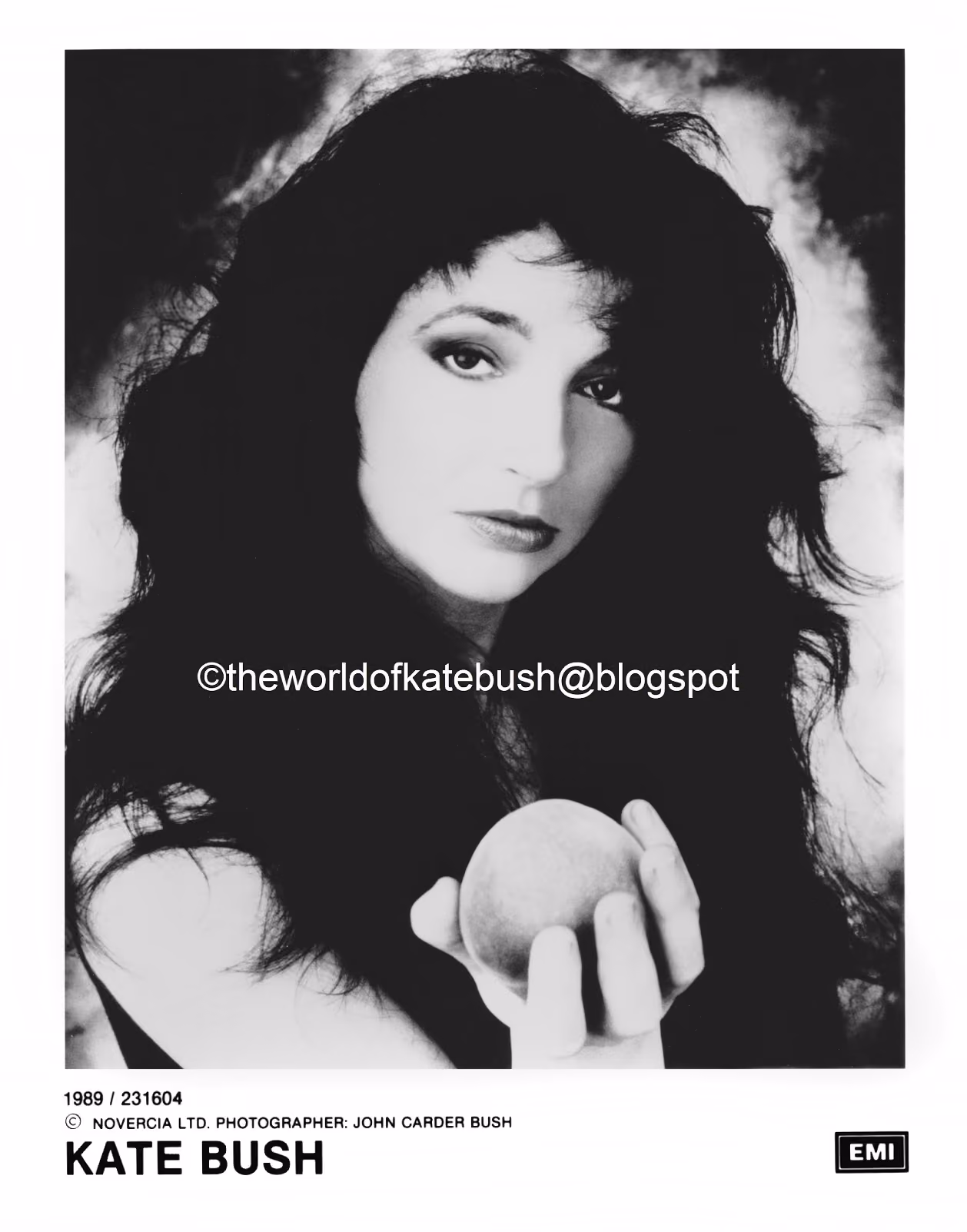 'The Sensual World' Photograph