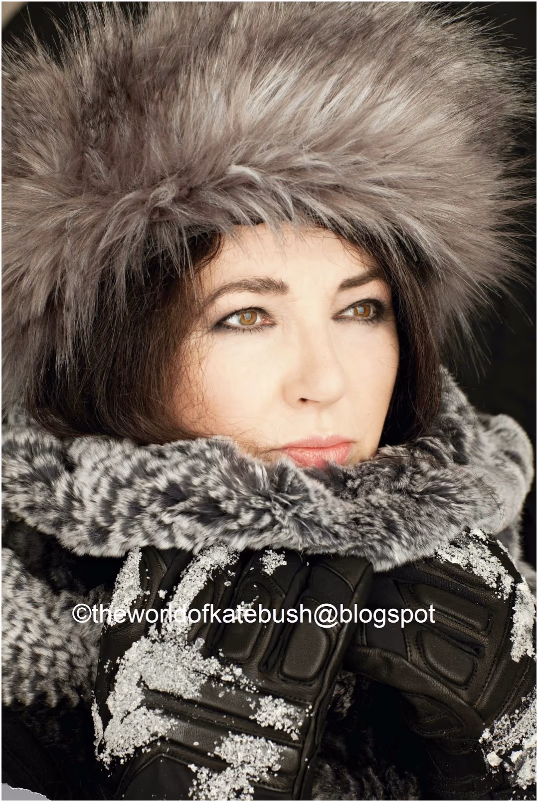 '50 Words For Snow' Photograph
