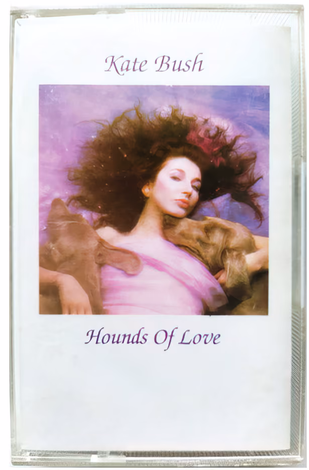 Hounds Of Love