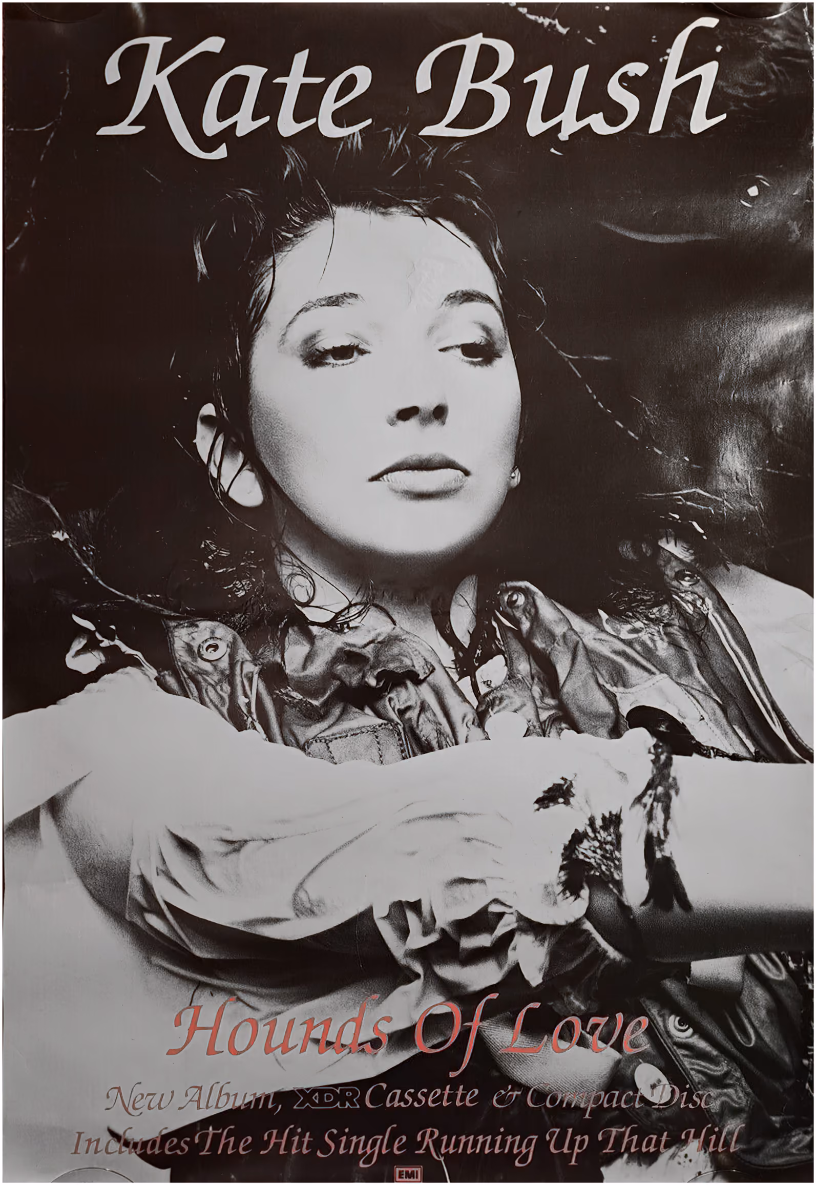 'Hounds Of Love' Album Poster