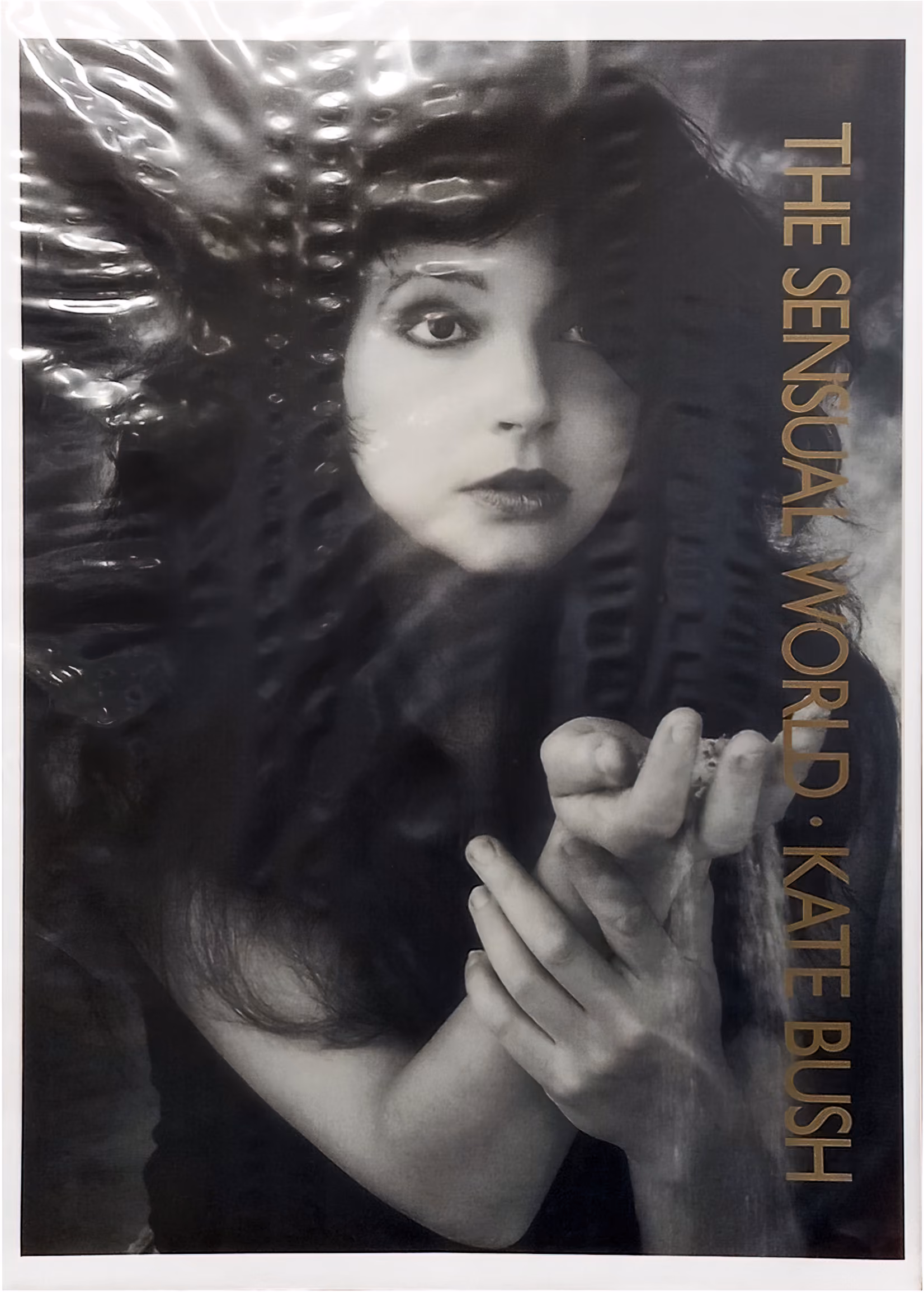 'The Sensual World' Poster