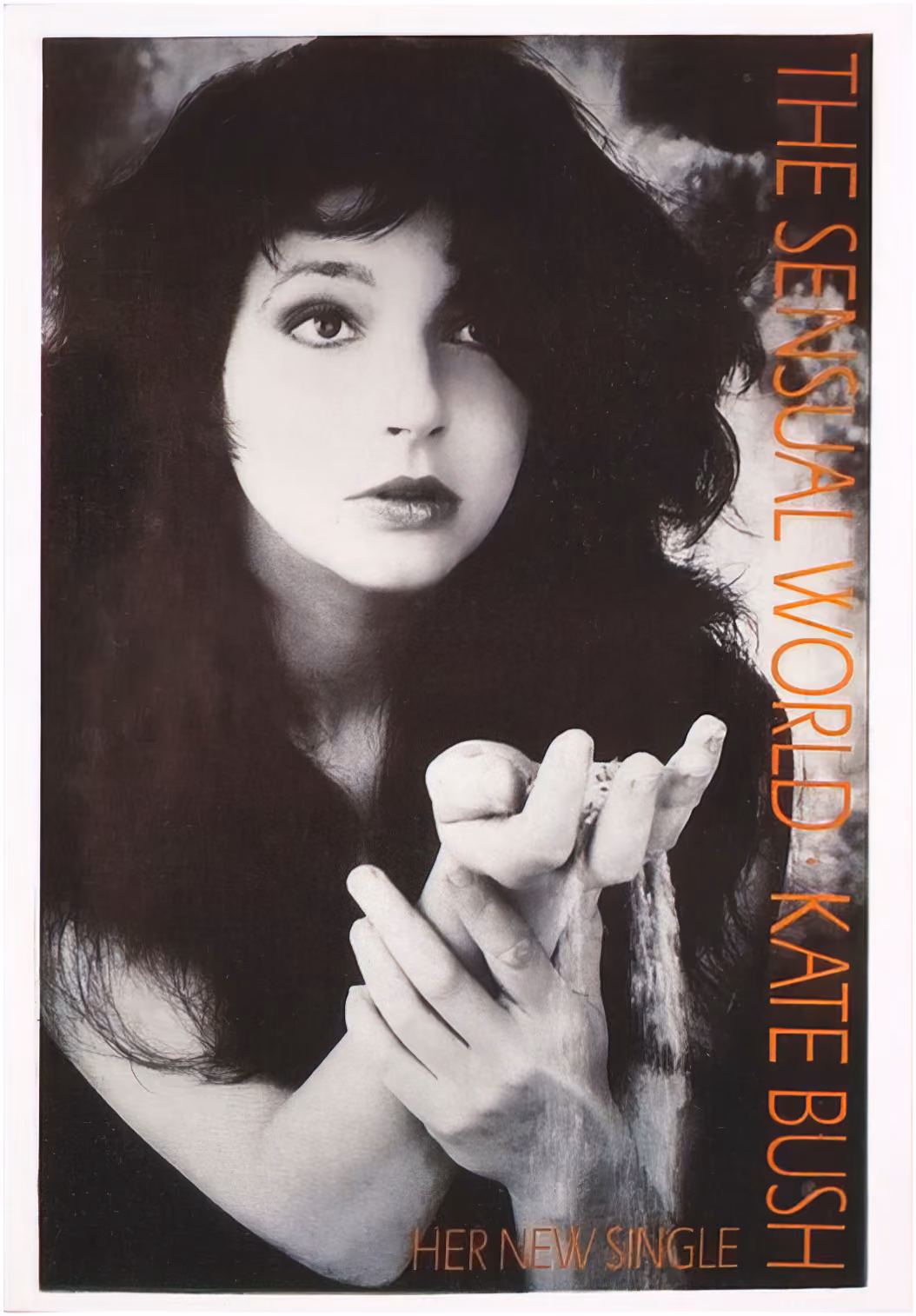 'The Sensual World' Single Postcard