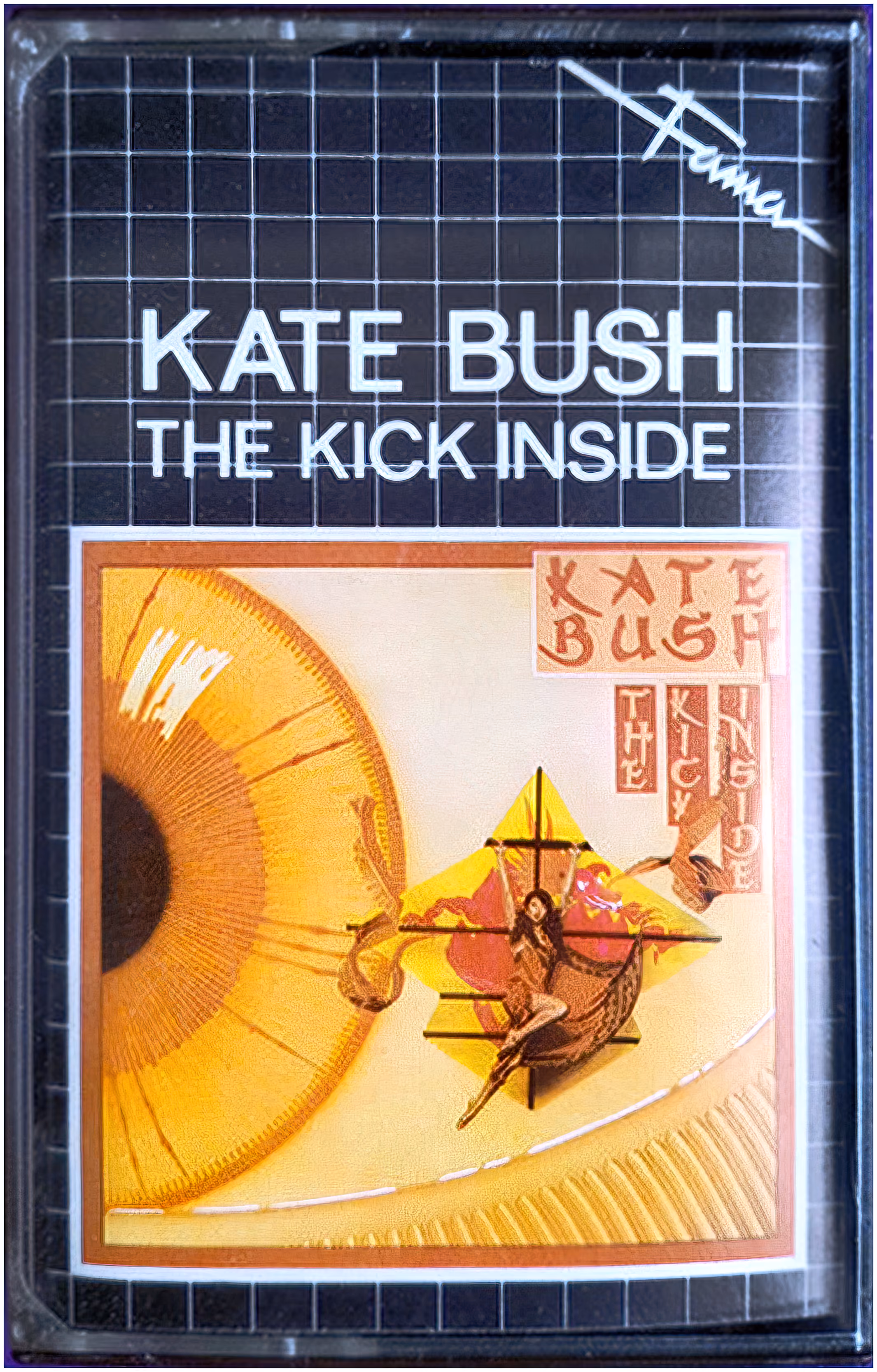 The Kick Inside
