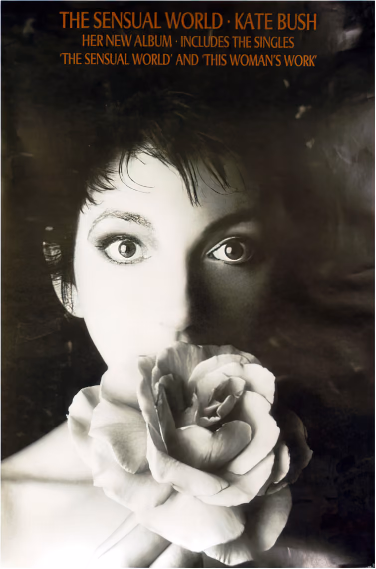 'The Sensual World' Album Poster