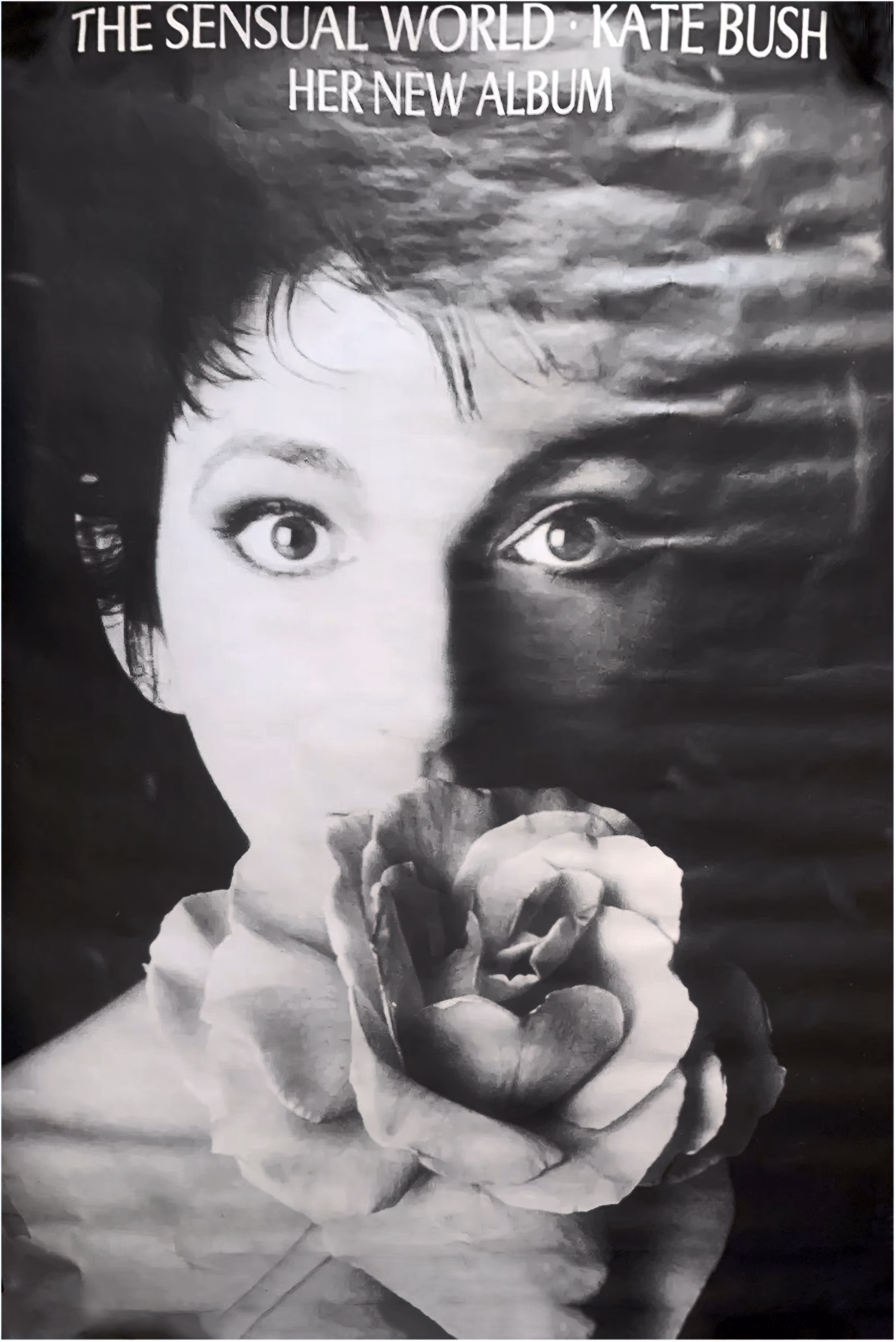 'The Sensual World' Album Poster