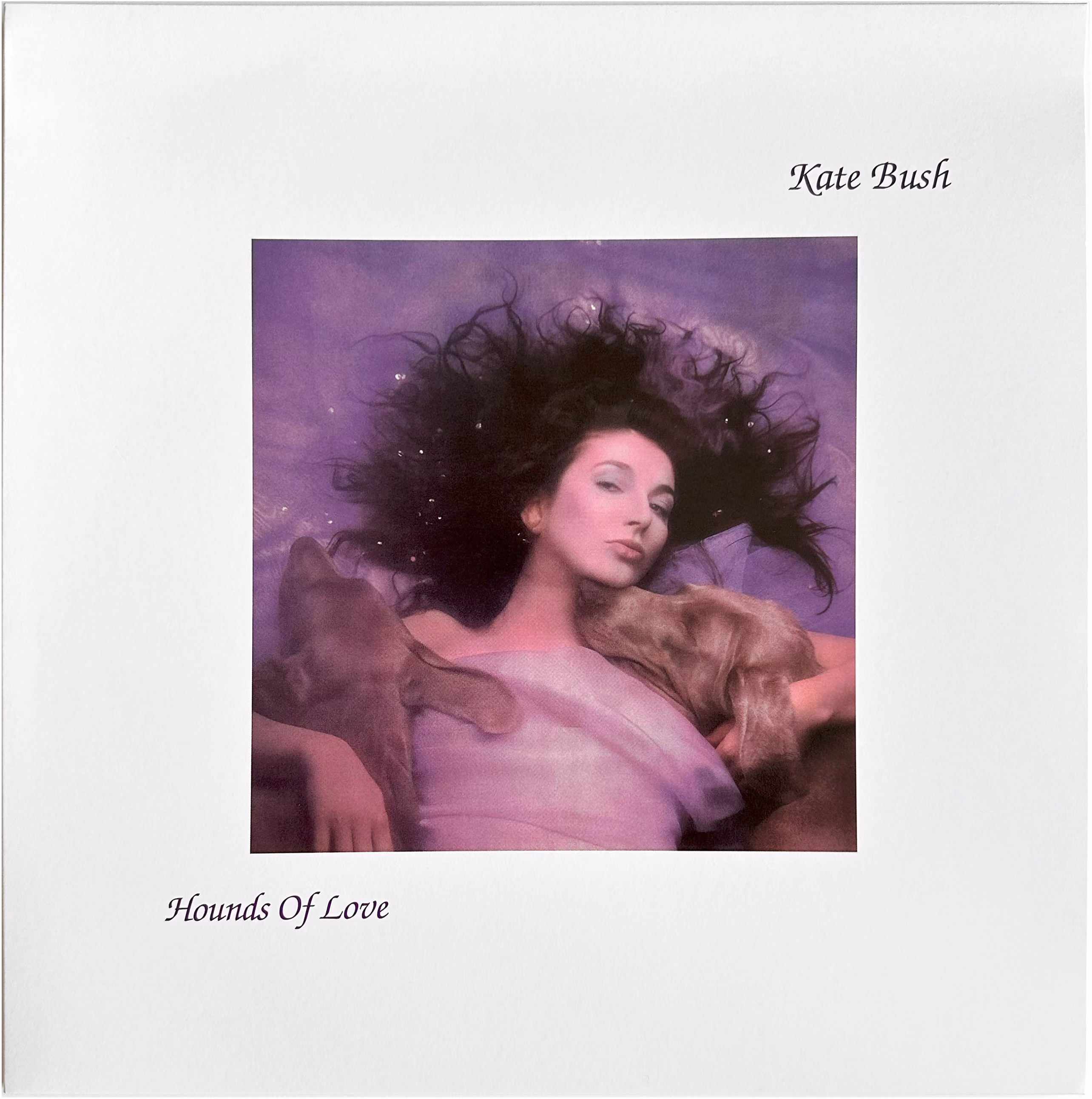 Hounds Of Love