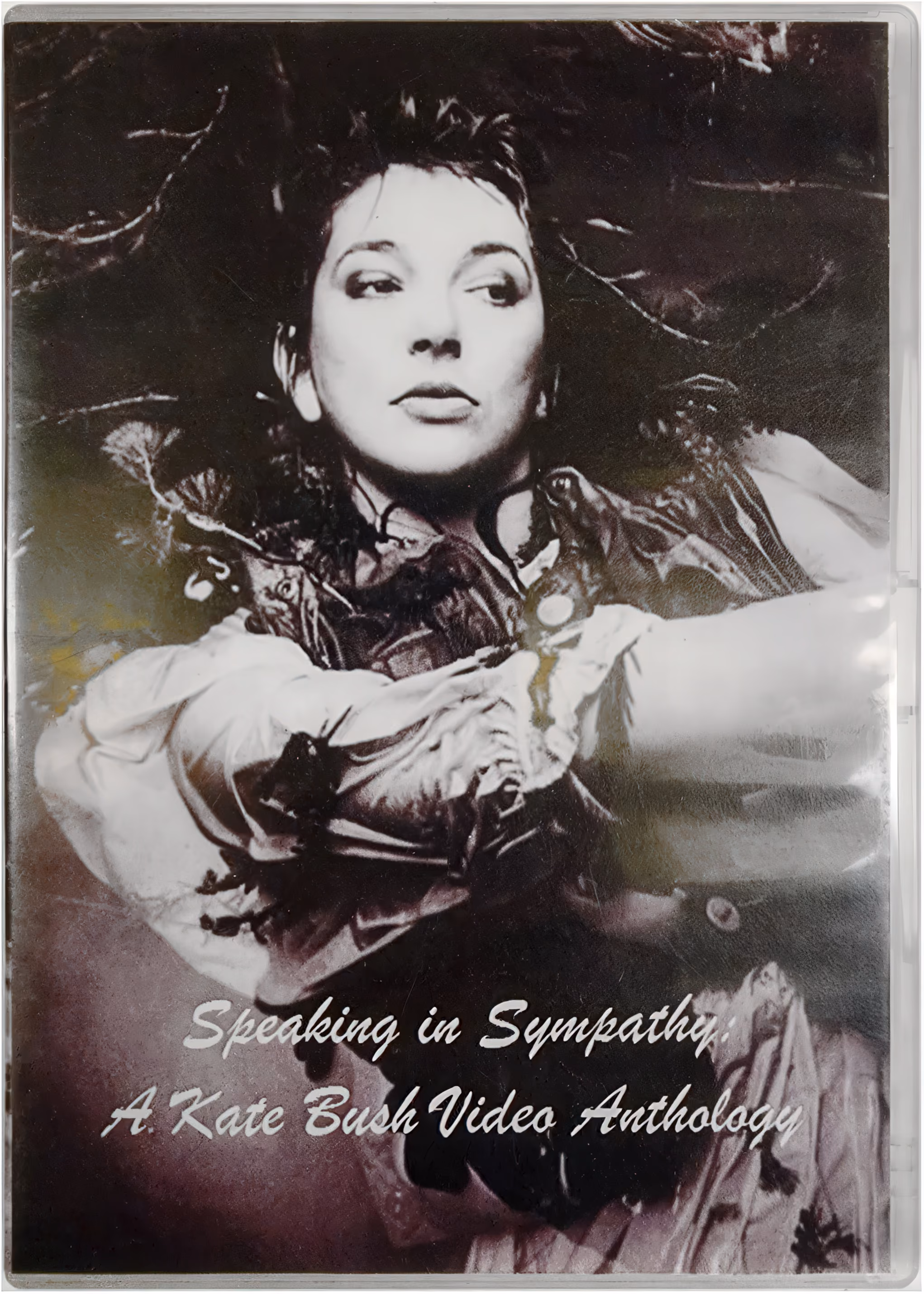 Speaking In Sympathy: A Kate Bush Video Anthology