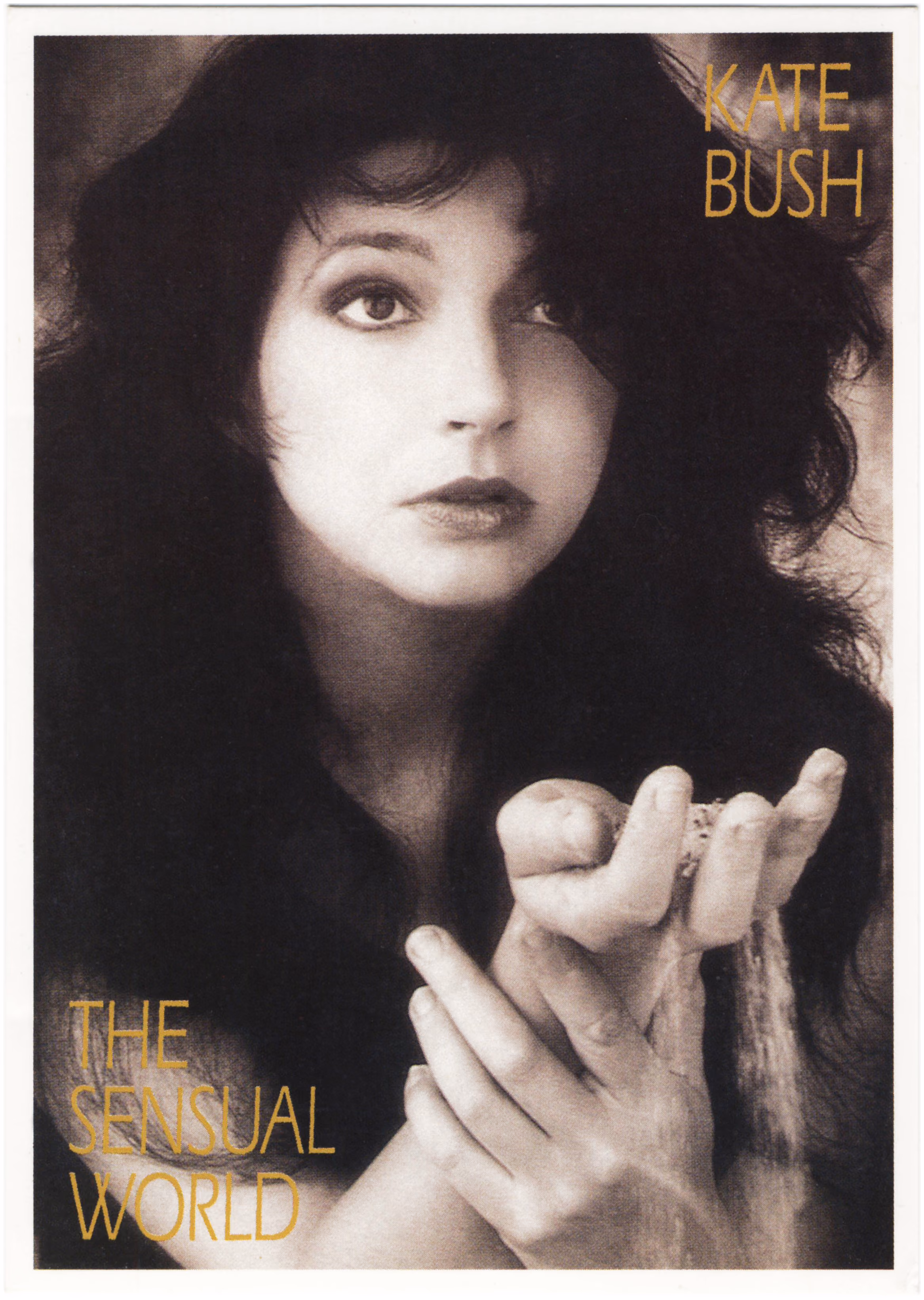 'The Sensual World' Postcard