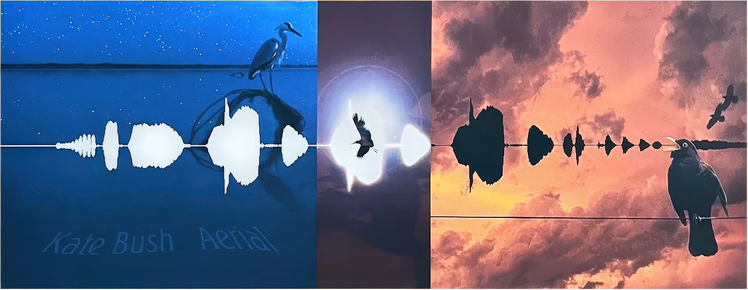 'Aerial' Strip Poster