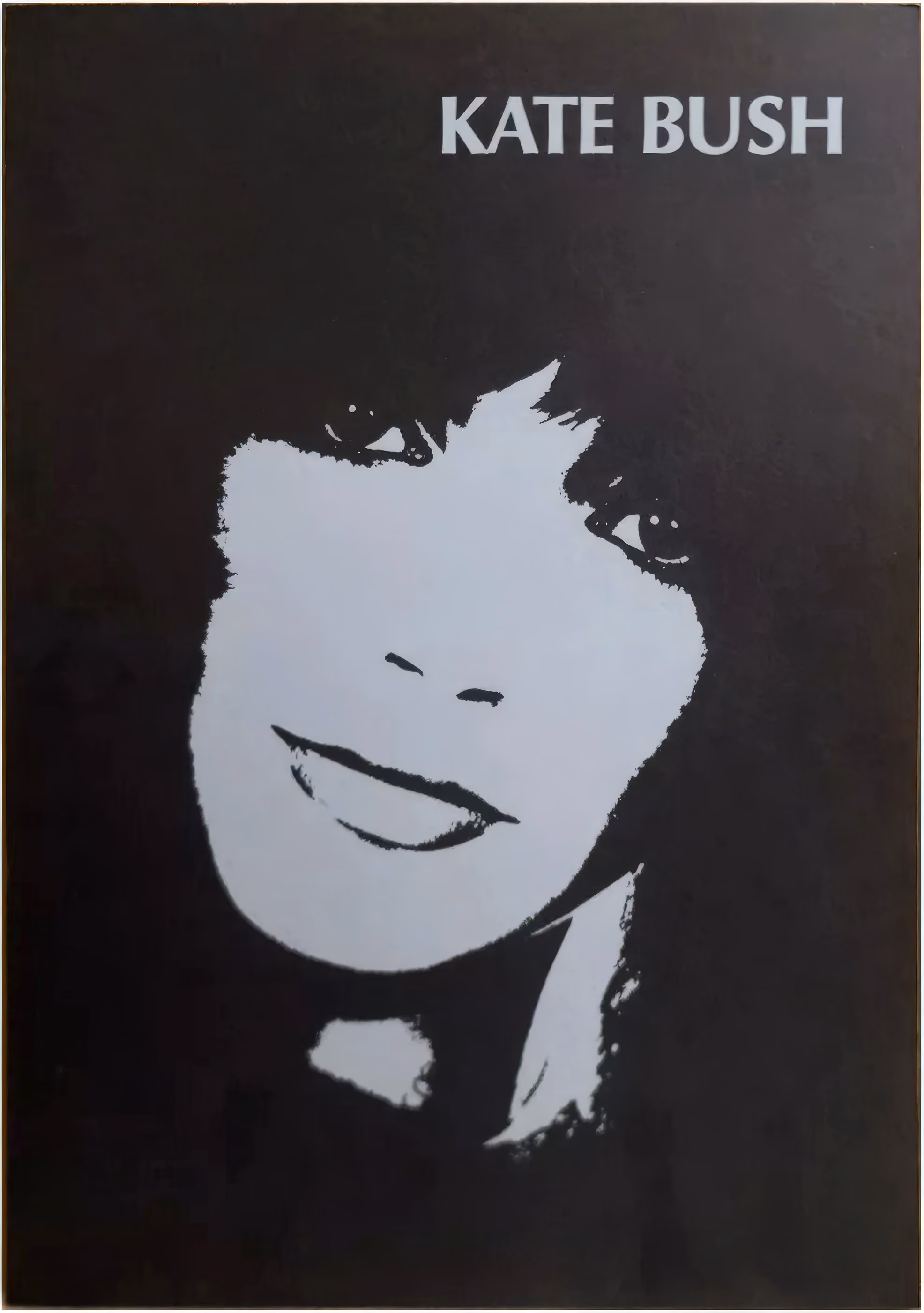 'The Dreaming' Booklet
